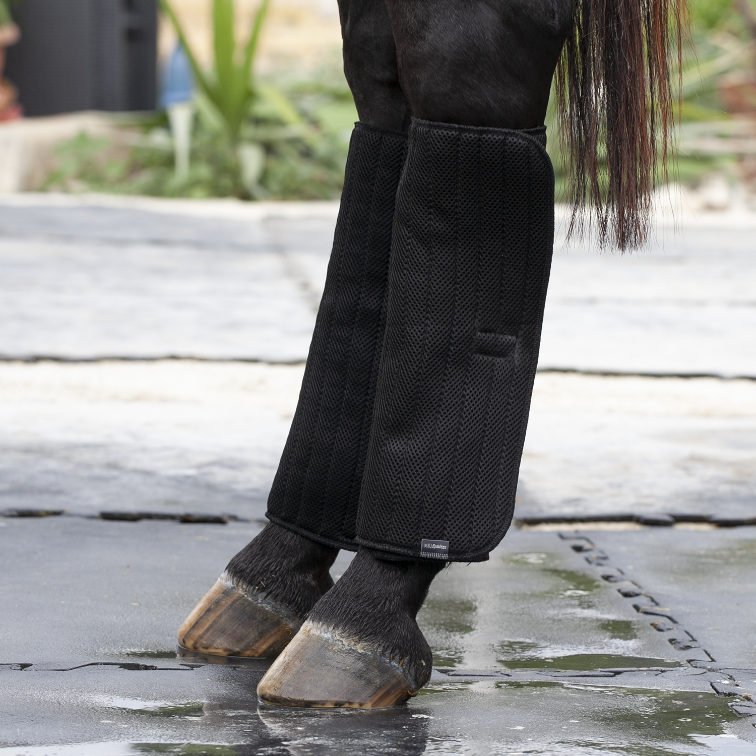 Ватники рабочие MIU Equestrian Coolmax