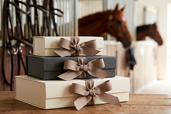 Получите 300 бонусов за регистрацию и возвращайте 3% с каждой покупки на личный счёт.