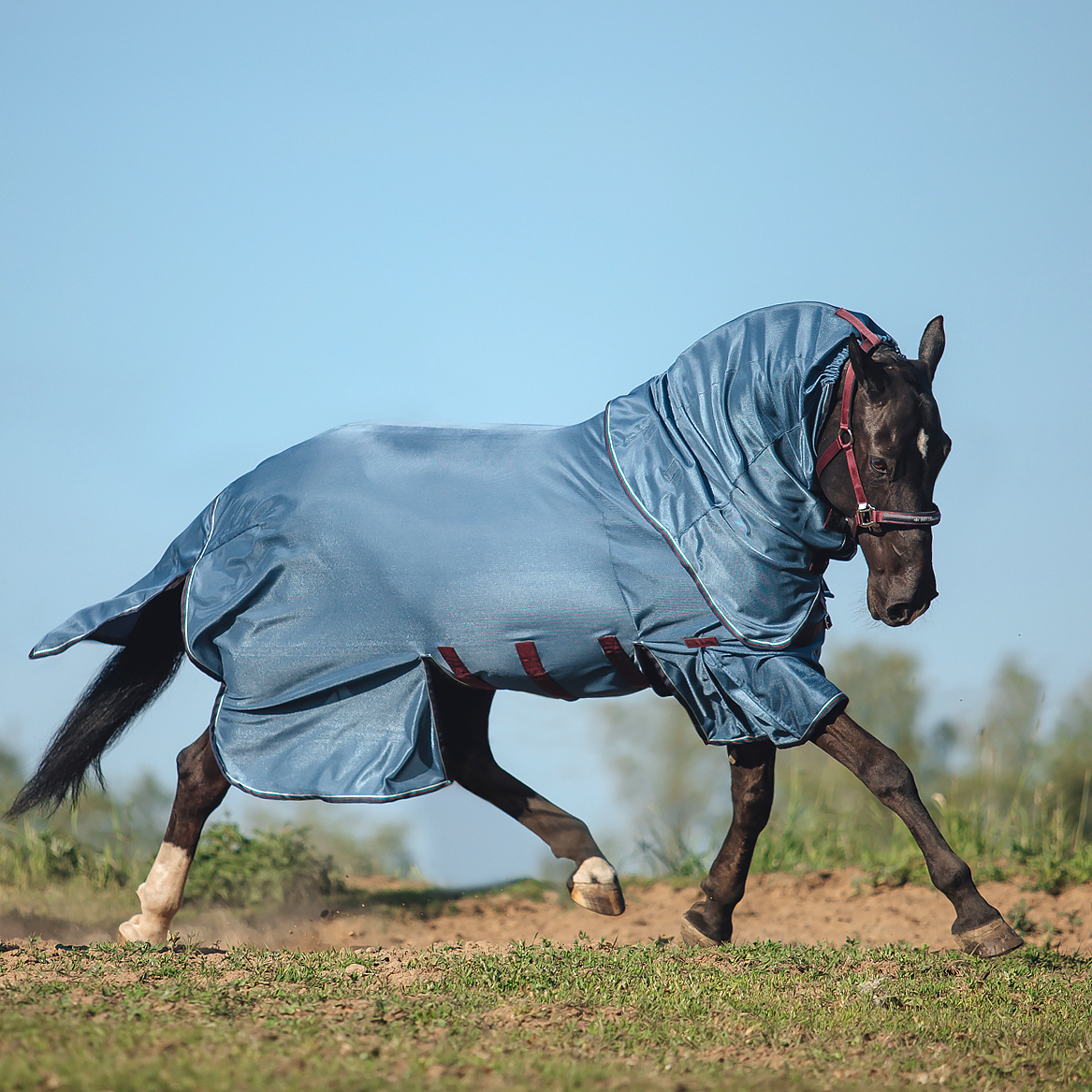 Попона антимоскитная со съемным капором MIU Equestrian Armor