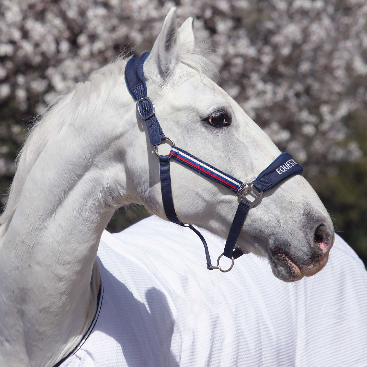 Недоуздок EQUESTRIAN SPORTS синий Первая Конная Мануфактура