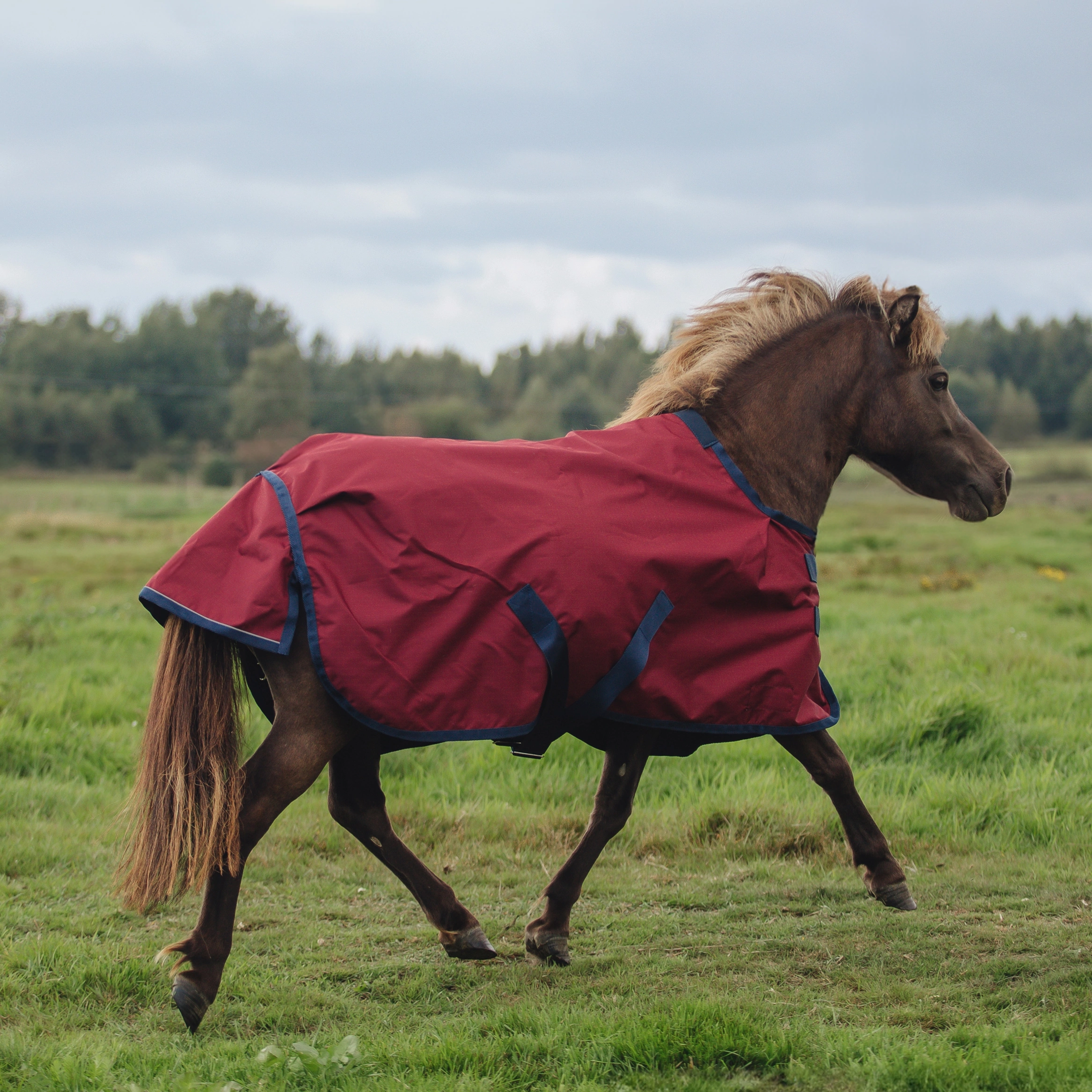 Попона дождевая на нейлоне mimimi Pony, бордовый