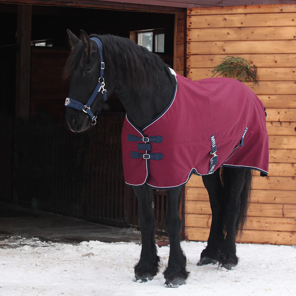 Попона шерстяная WOOL