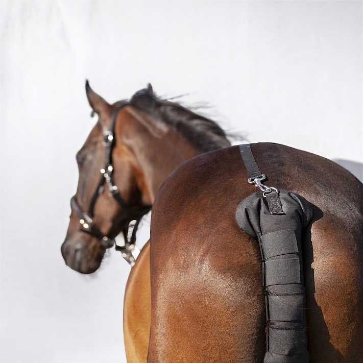 Система крепления транспортировочного нахвостника чёрный