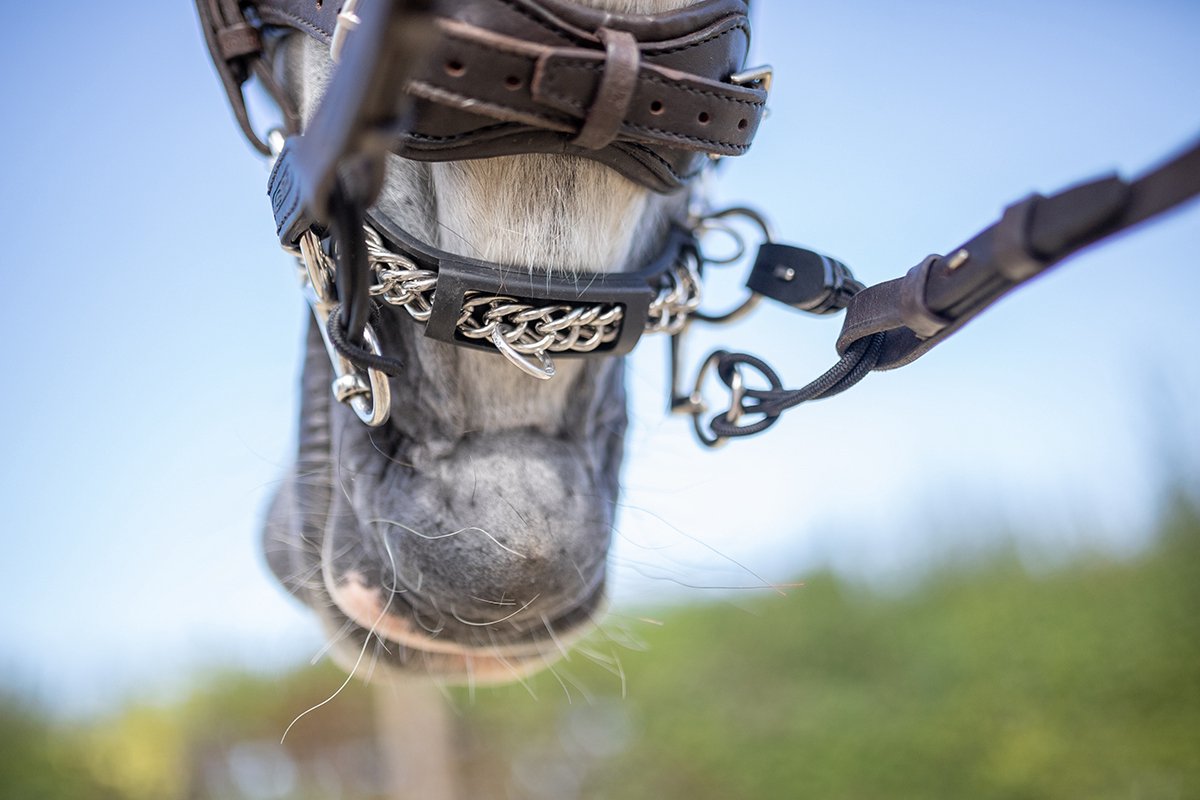 Переходники для пеляма BUSSE, коричневый