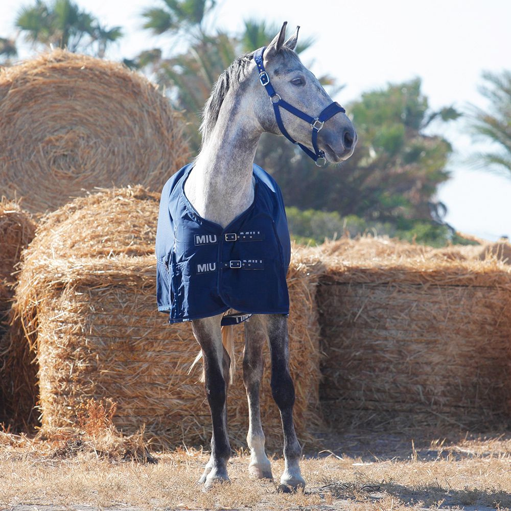 Попона хлопковая COTTON RIP-STOP