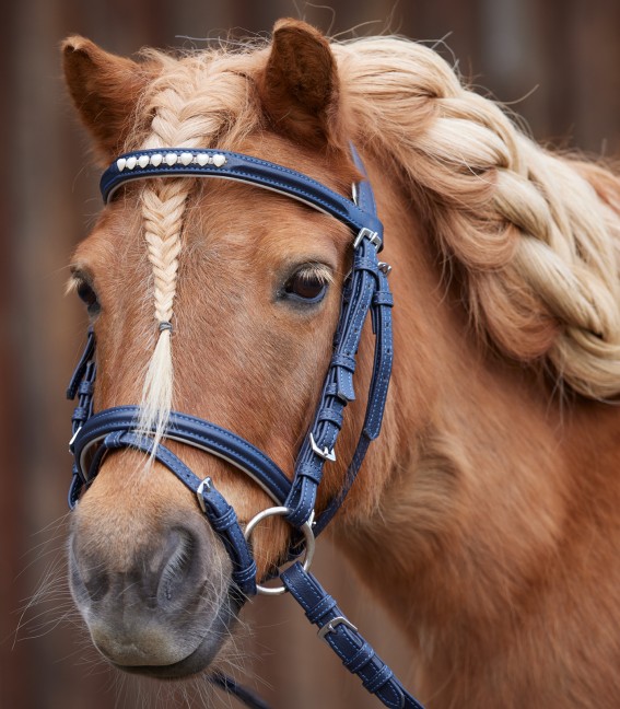 Уздечка для шетлендских пони Lucky bridle синий/серебро Первая Конная Мануфактура