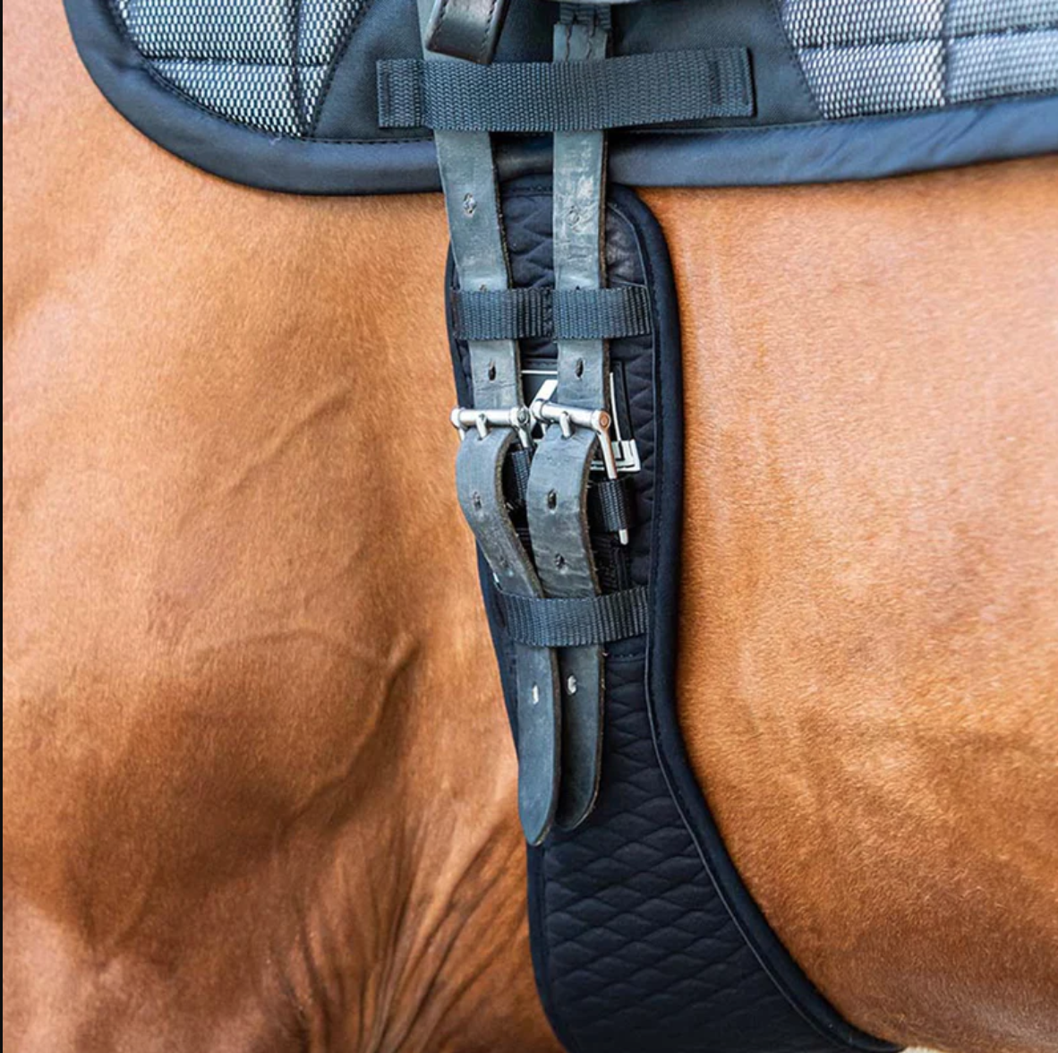 Подпруга выездковая непреновая V22 чёрный