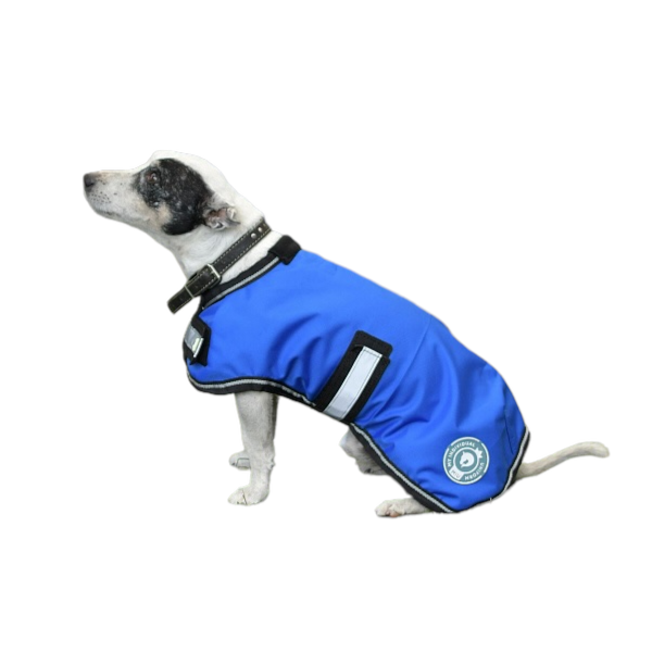 Попона для собаки на флисе василёк