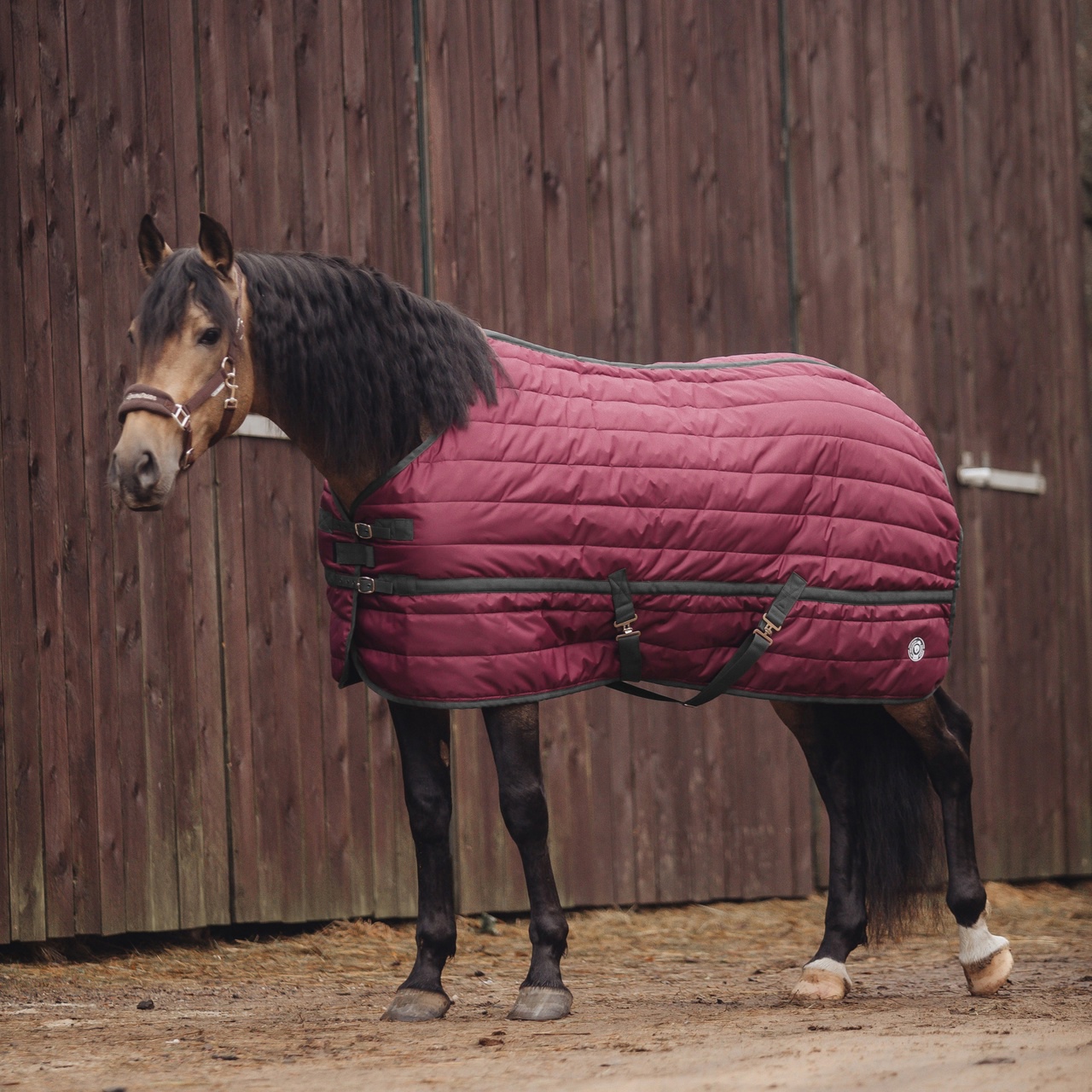 Попона денниковая Classic Stable, 300 гр бордо/чёрный Первая Конная Мануфактура