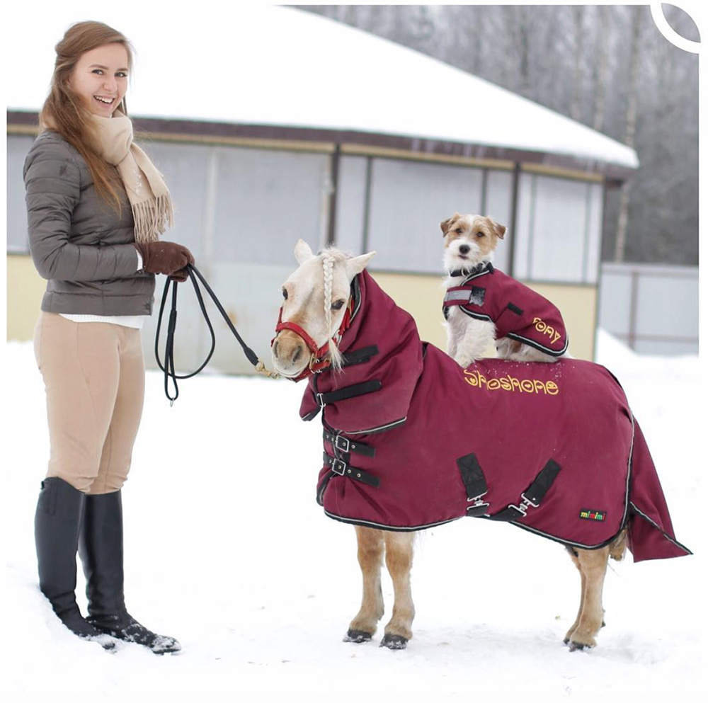 Попона для собаки Big с именем на флисе 