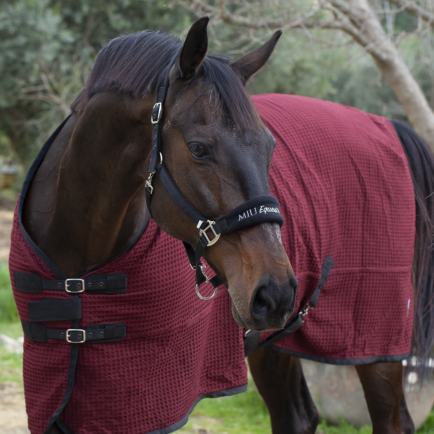Попона вафельная MIU Equestrian Waffle Cooler бордо
