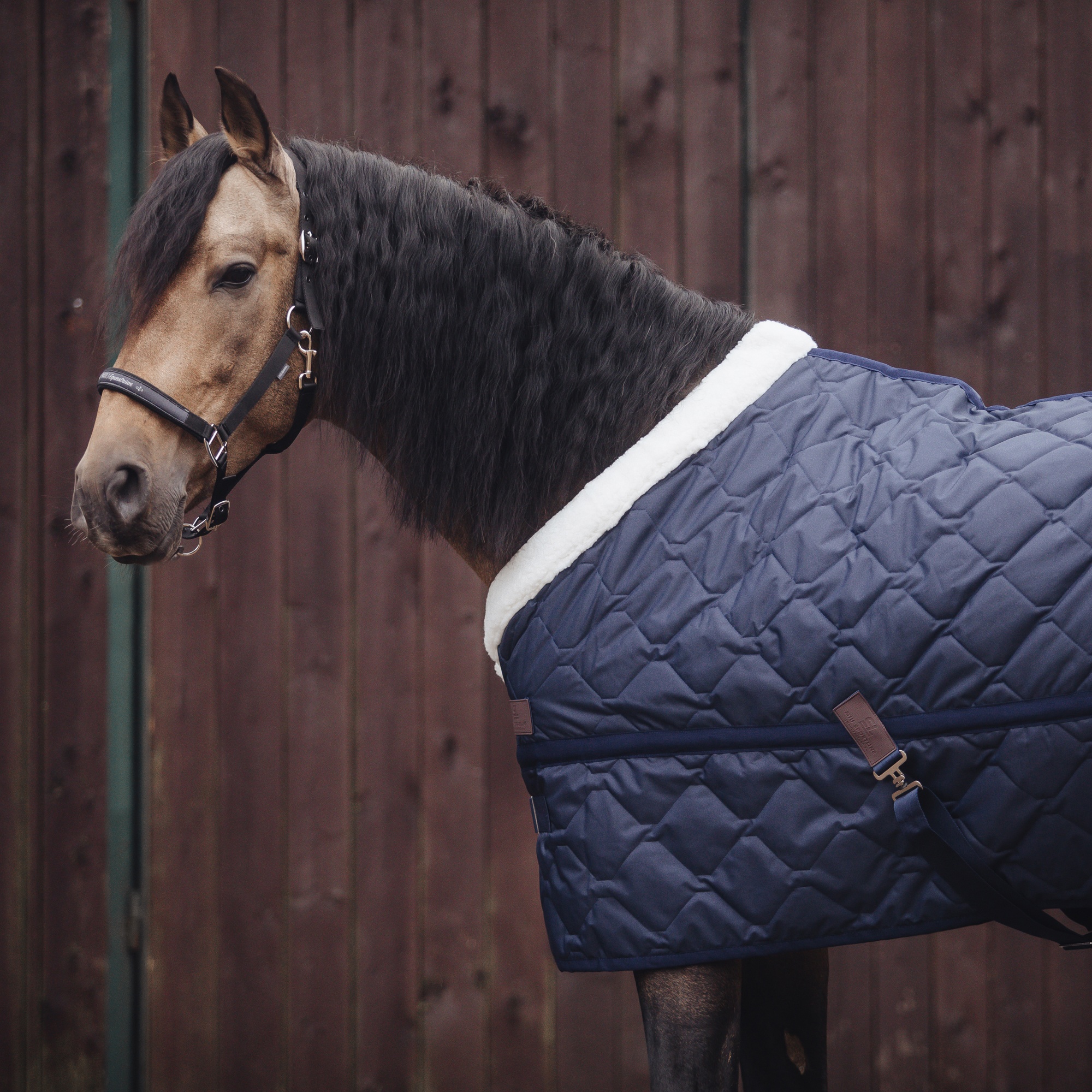 Попона денниковая LUXURY, 150 гр