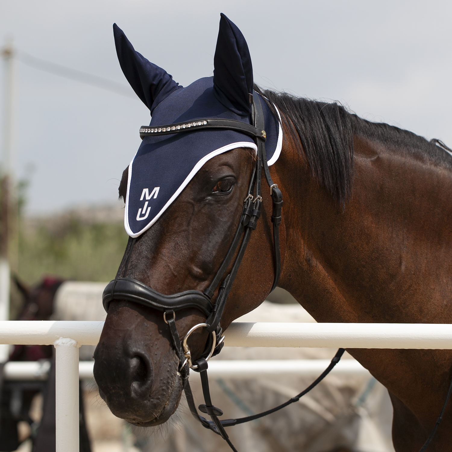 Ушки удлиненные Lightweight jersey Long, синий/белый