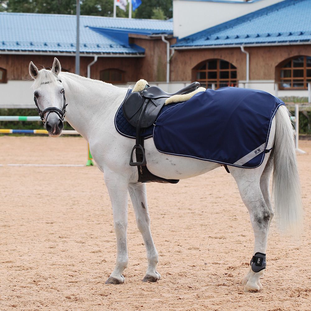 Полупопона RIDING на флисе синий