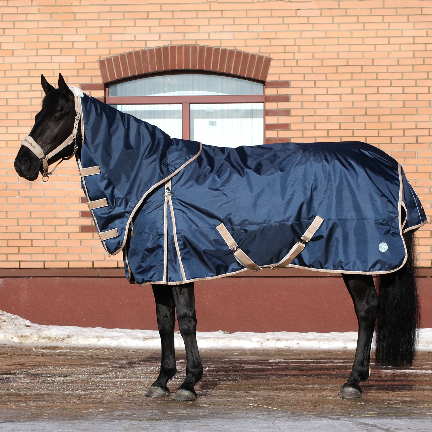 Попона прогулочная ALASKA с капором, 300 гр синий