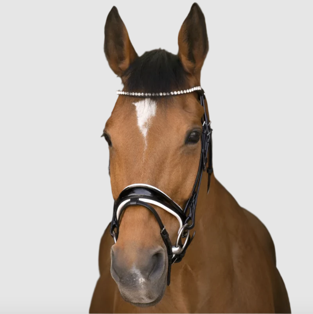 Оголовье трензельное Bella чёрный/белый стразы