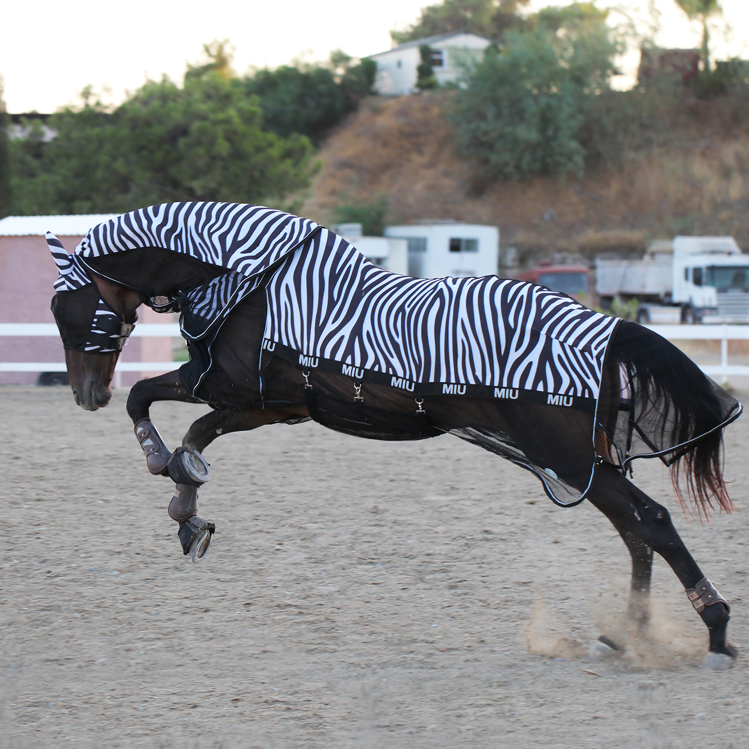 Попона антимоскитная AIR MAX ZEBRA с подпузником и съёмным капором