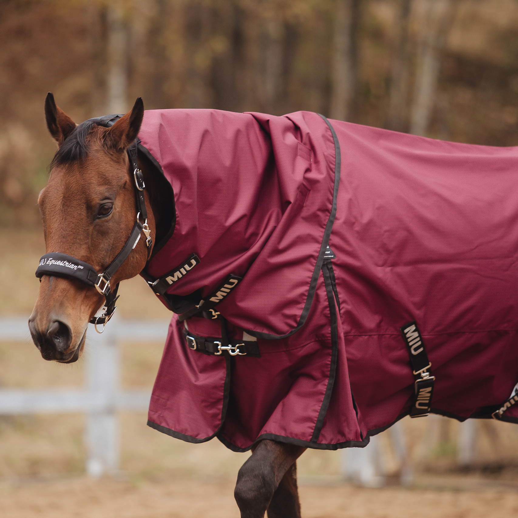 Попона прогулочная HONG KONG с капором бордо/кант чёрный