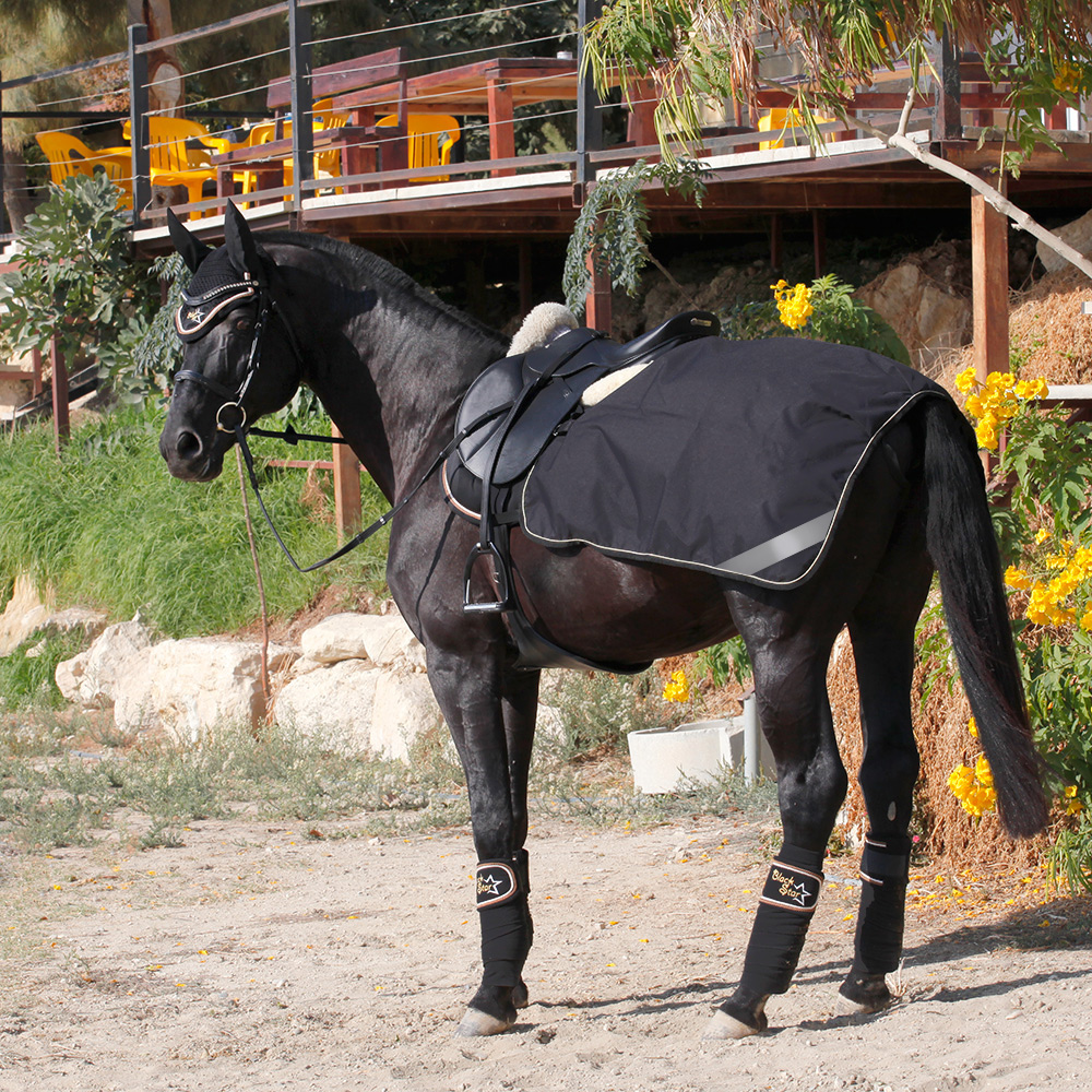 Полупопона RIDING на флисе чёрный