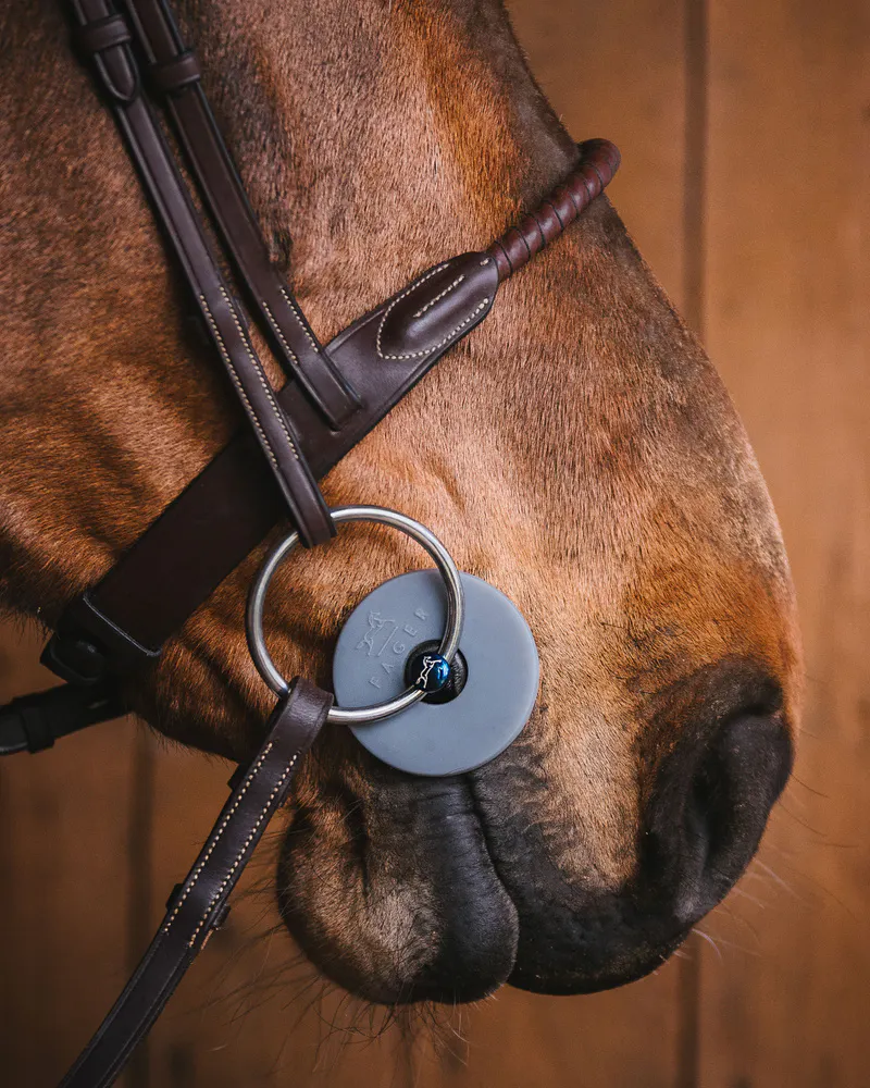 Кольца-ограничители на трензель, пара серый