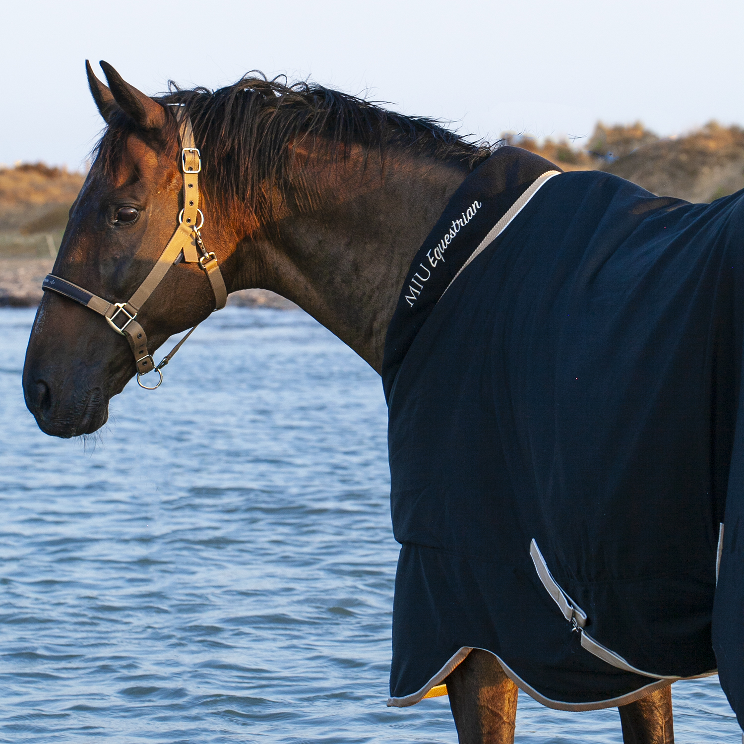Попона денниковая GOLD MEDAL на вафельной подкладке чёрный