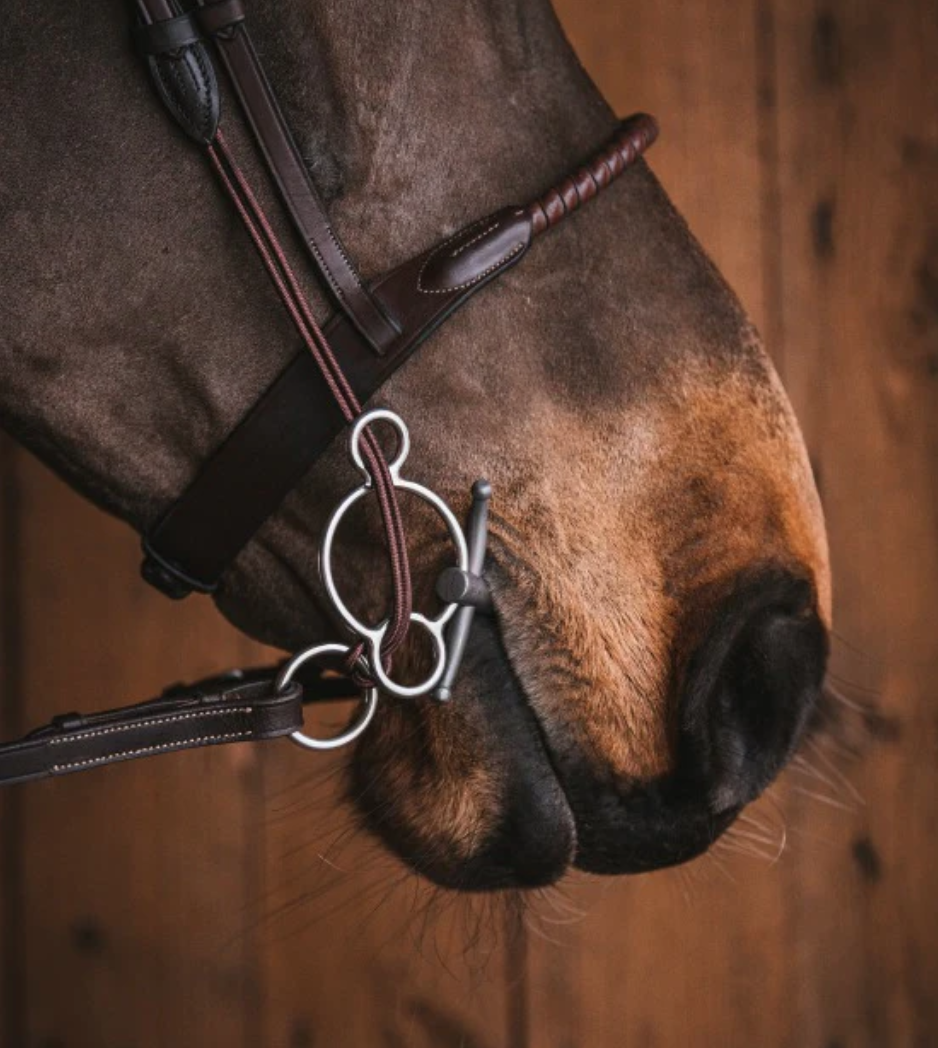 Ремешки для трензеля гаг Loose Gag Cheeks with neckpiece чёрный