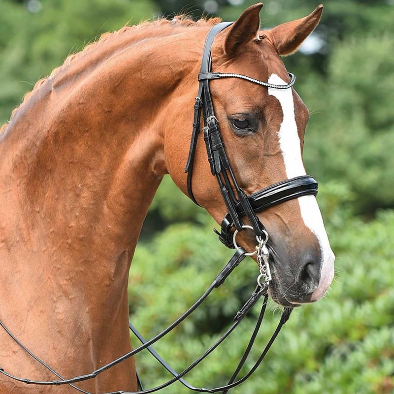 Оголовье мундштучное BUSSE DOUBLE BRIDLE MAILAND Первая Конная Мануфактура