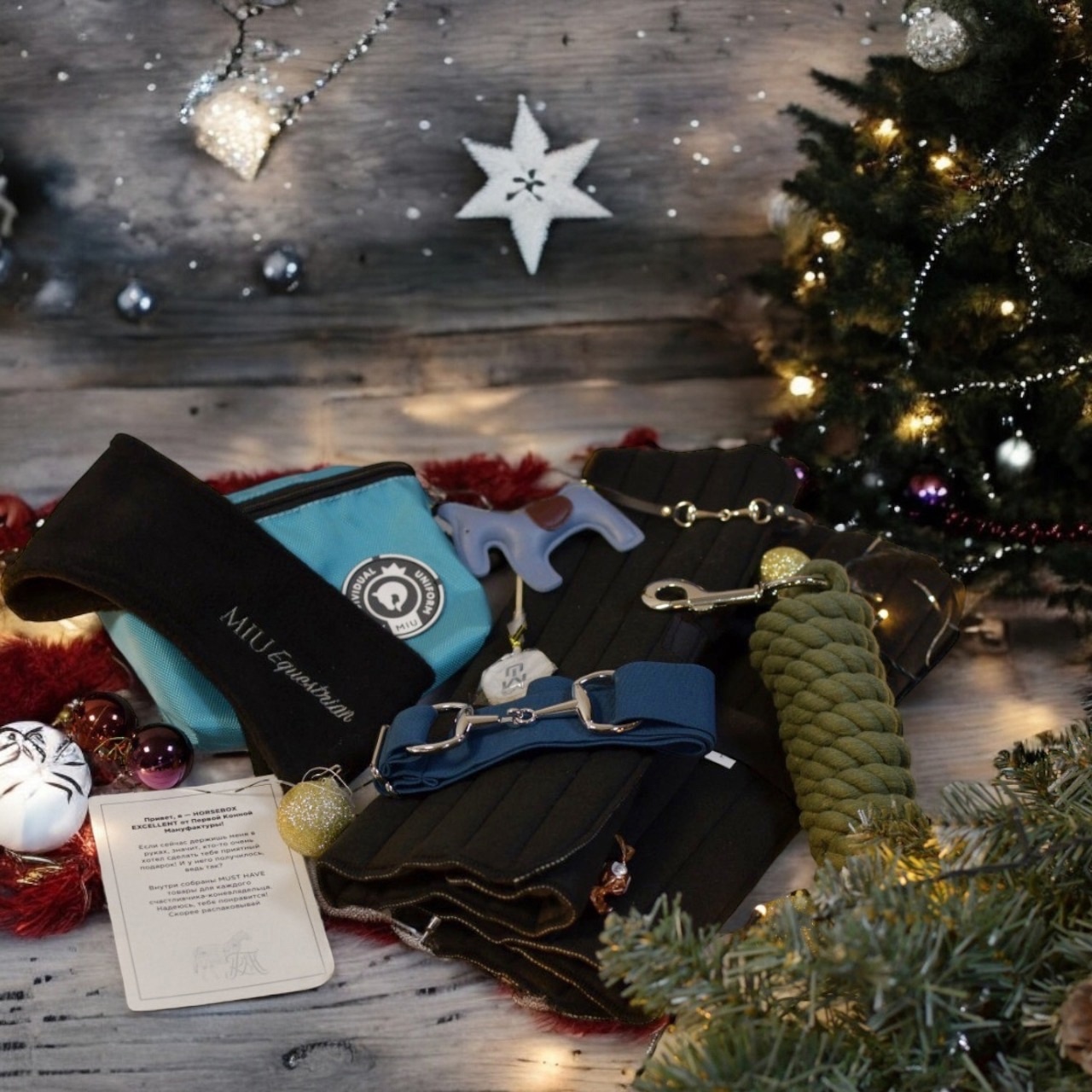 HorseBox excellent (один размер, HB3-один размер)