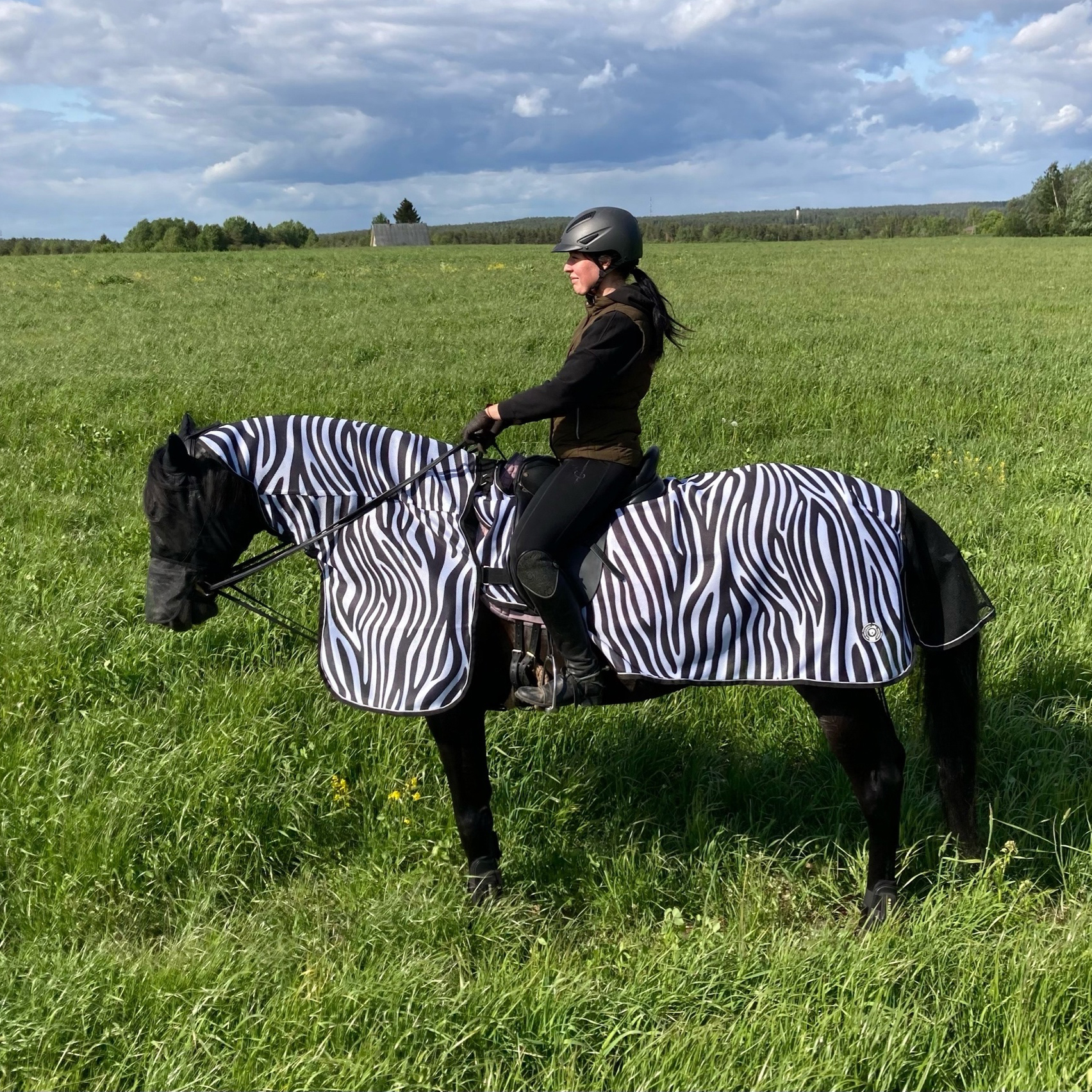 Полупопона антимоскитная EQUUS ZEBRA с капором