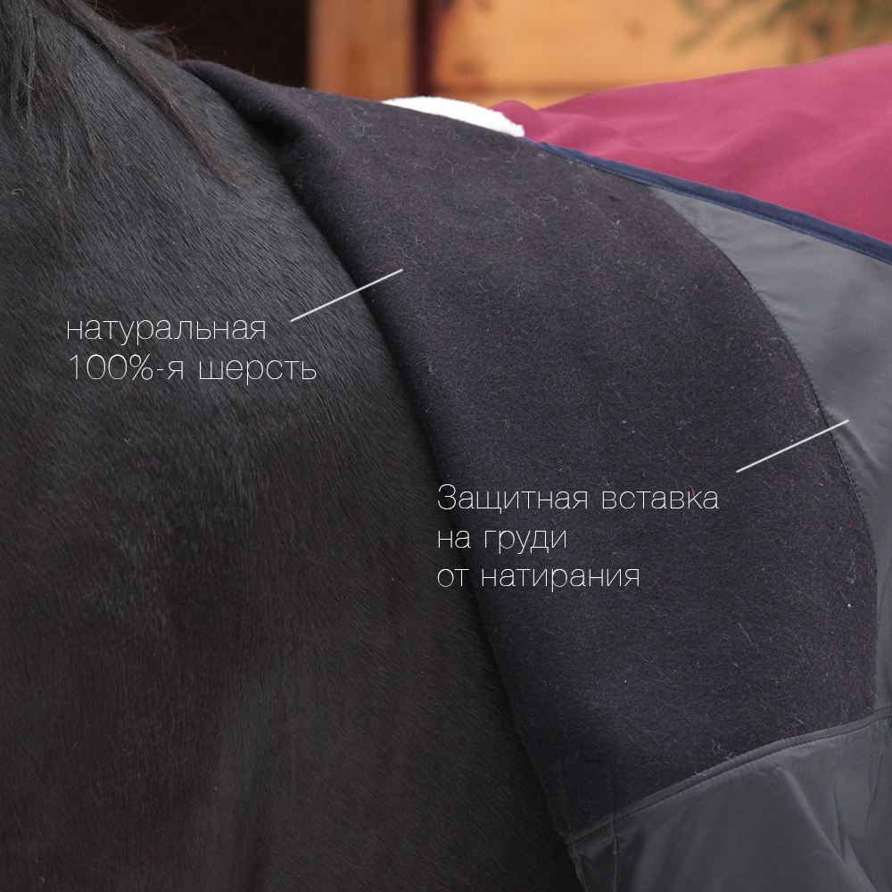 Попона шерстяная WOOL