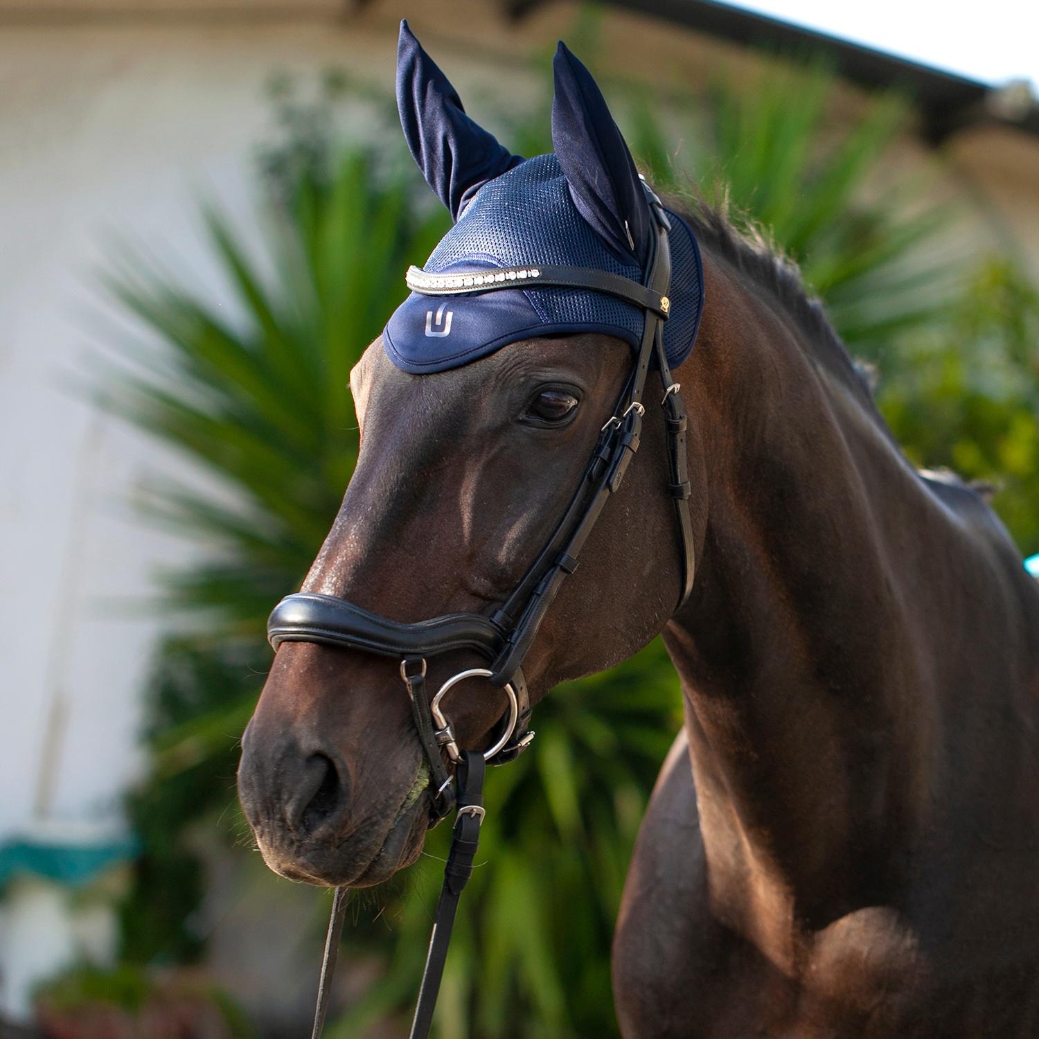 УШКИ SportLine синий/синий