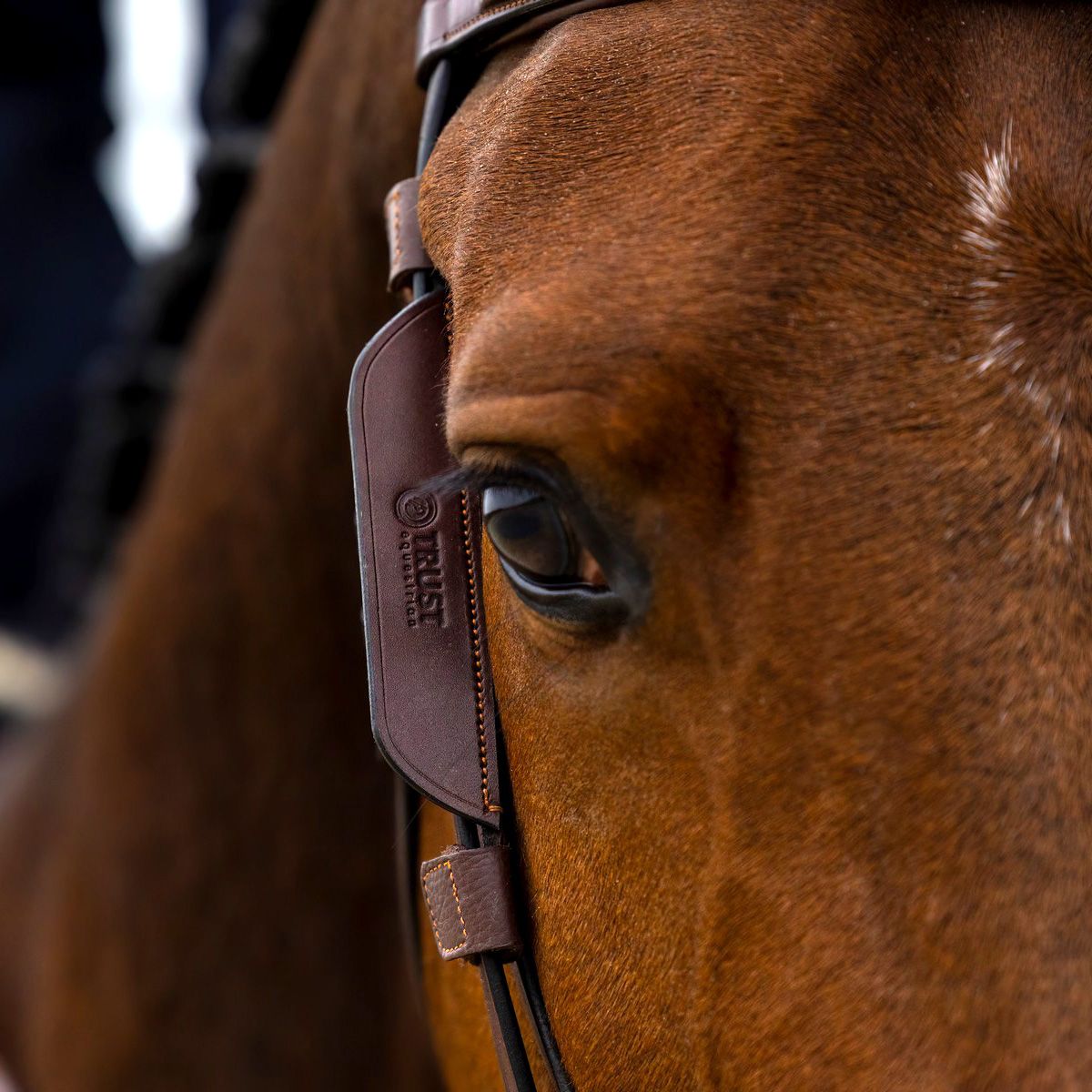 Шоры Blinkers черный