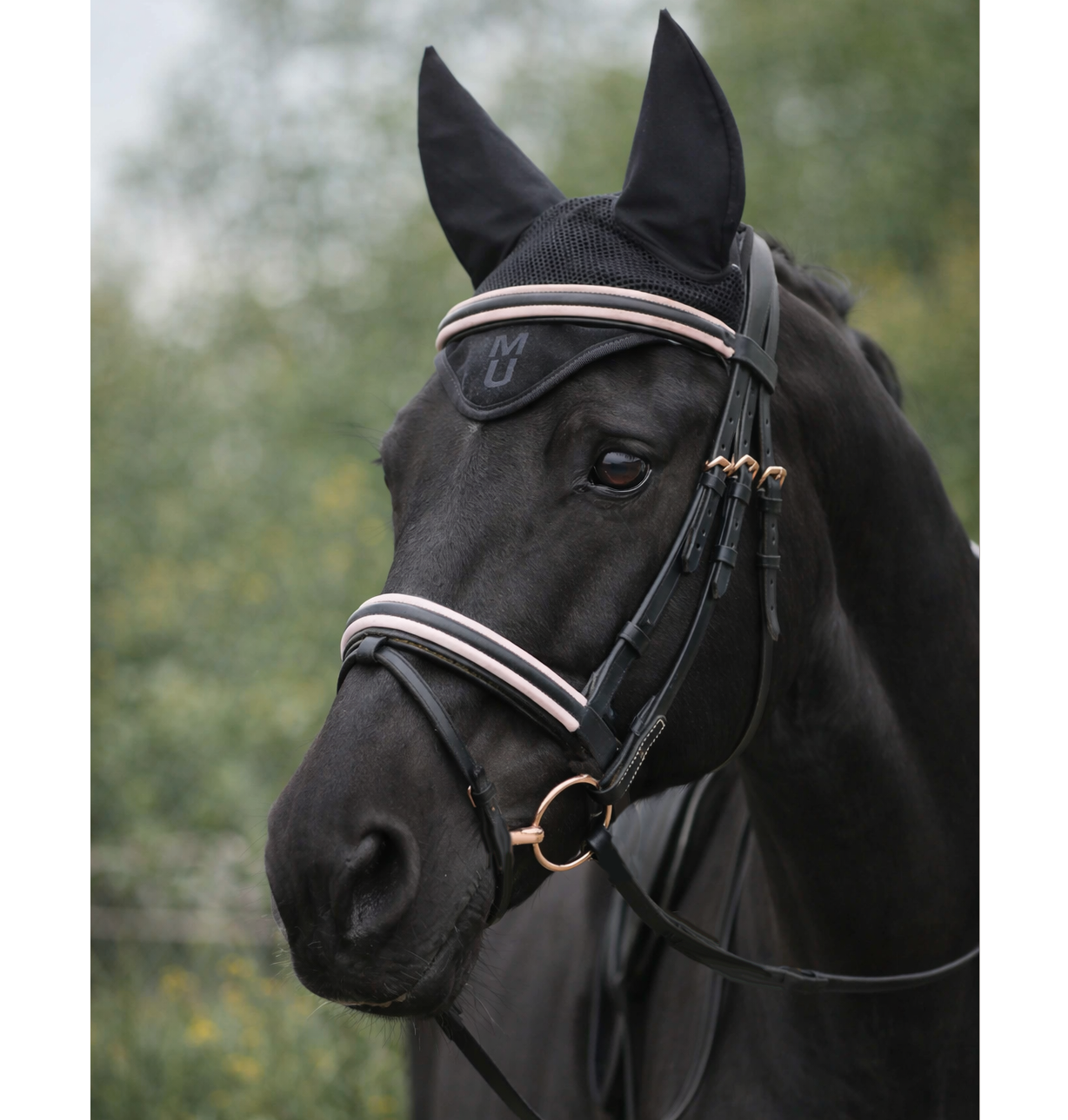 Уздечка с цветными подложками Bubble gum чёрный/розовый Первая Конная Мануфактура