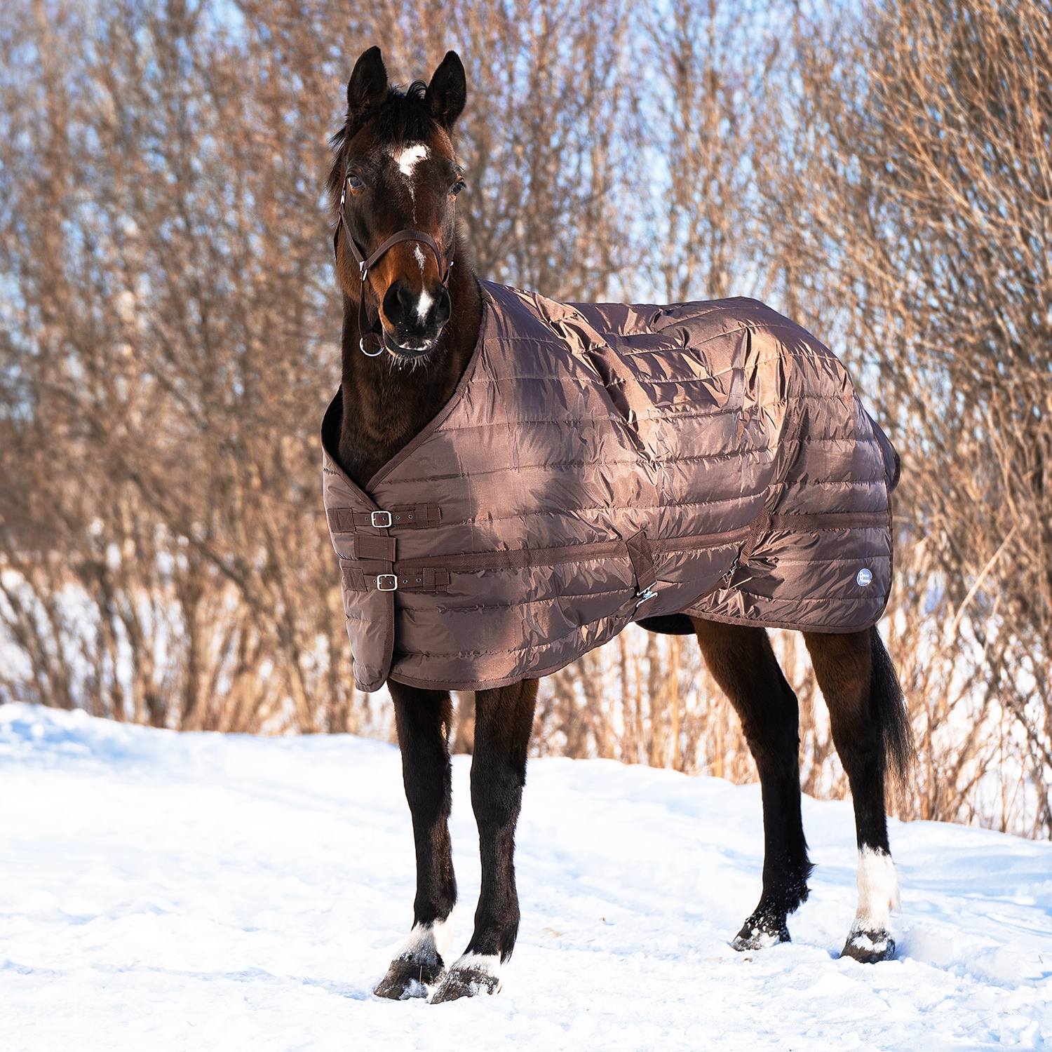 Попона денниковая Classic Stable, 300 гр шоколад Первая Конная Мануфактура