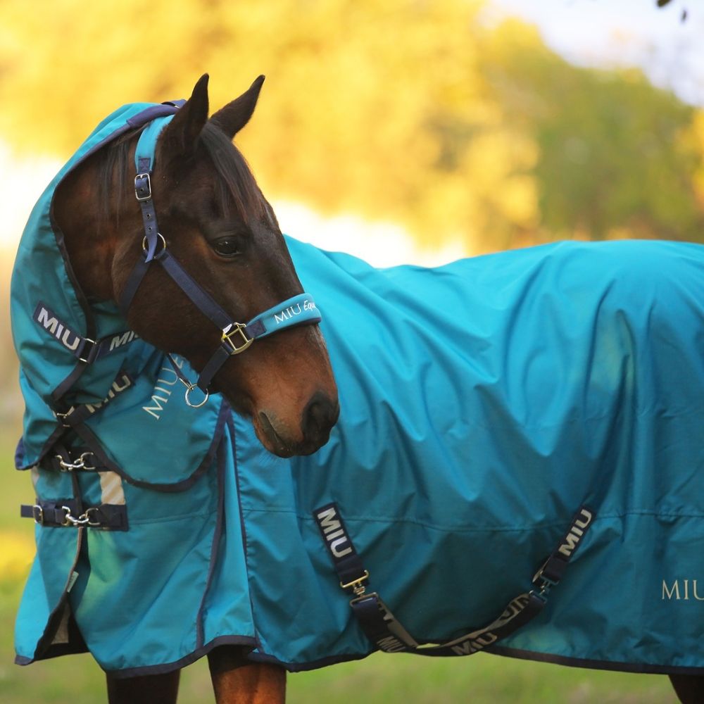 На какой подкладке выбрать дождевую попону?