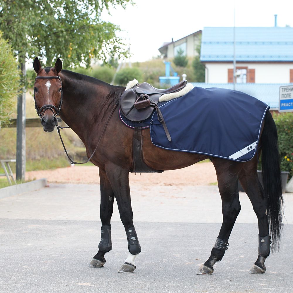 Полупопона RIDING на флисе синий