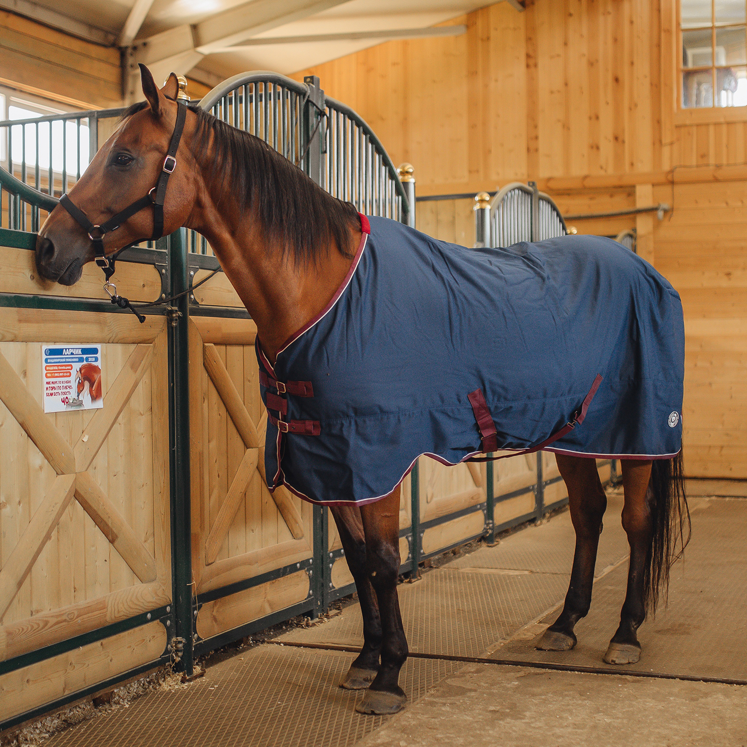 Попона денниковая FLEECE-LINED на флисе синий/бордо