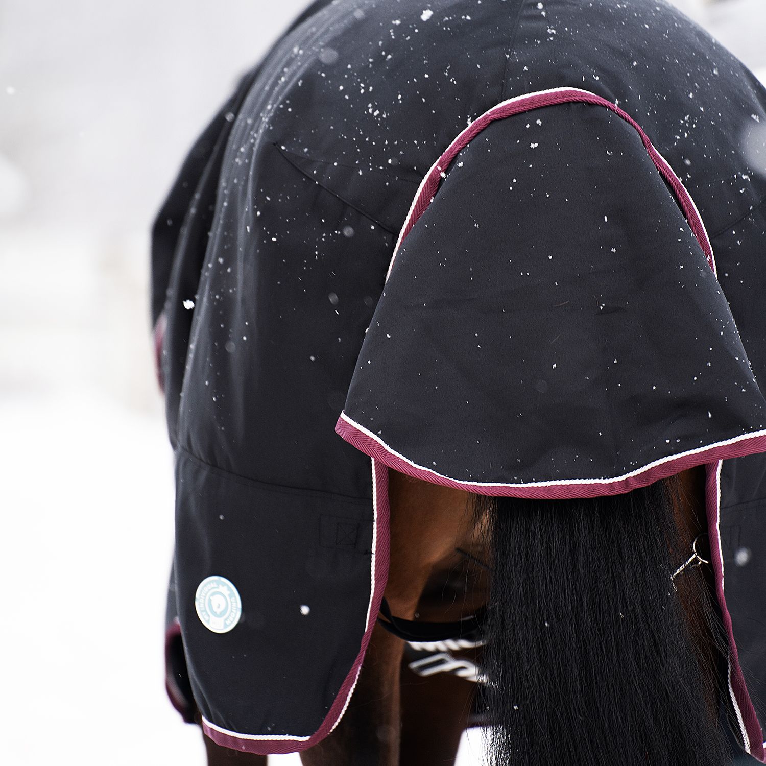 Попона денниковая HOME 150 с капором чёрный