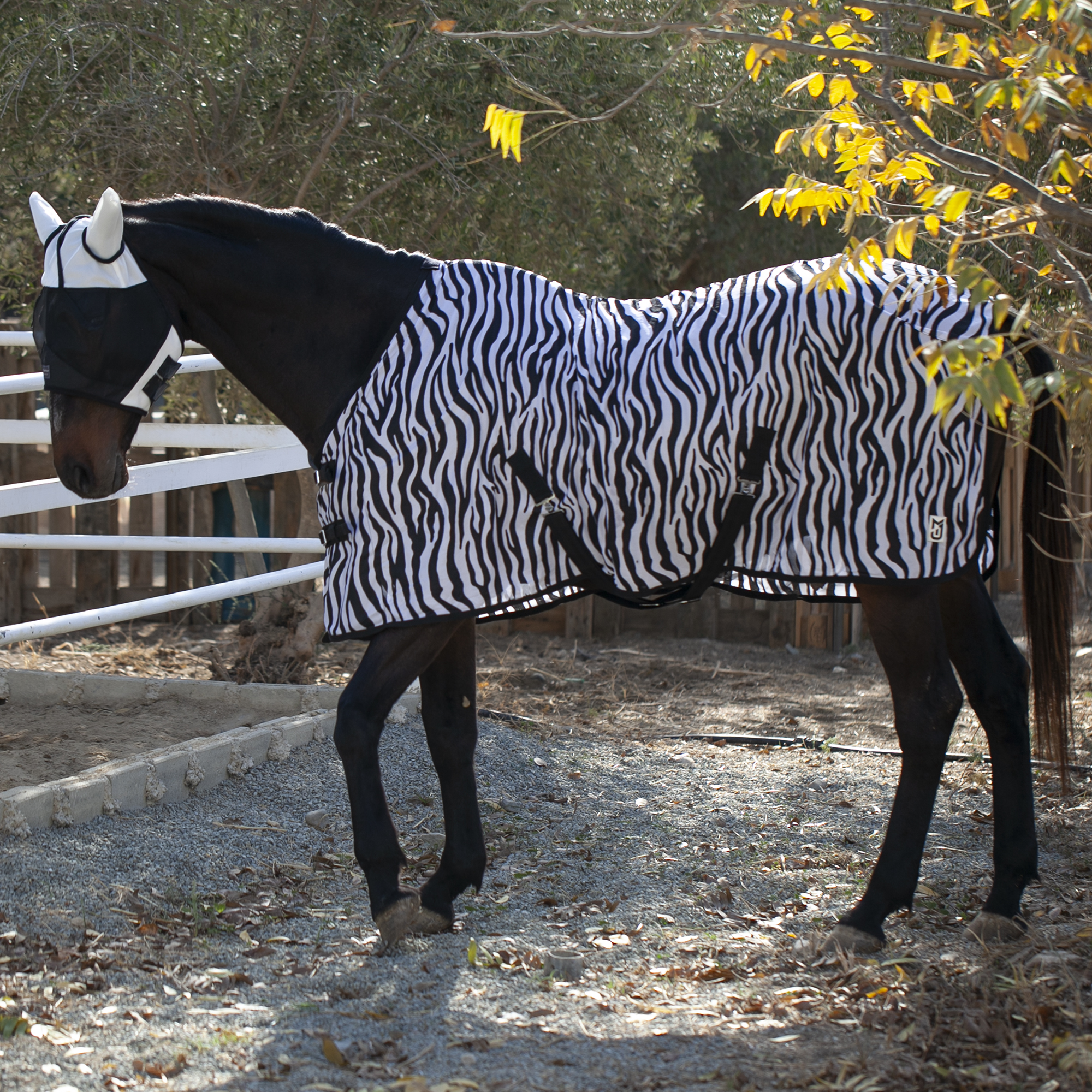 Антимоскитная попона Zebra Print Первая Конная Мануфактура