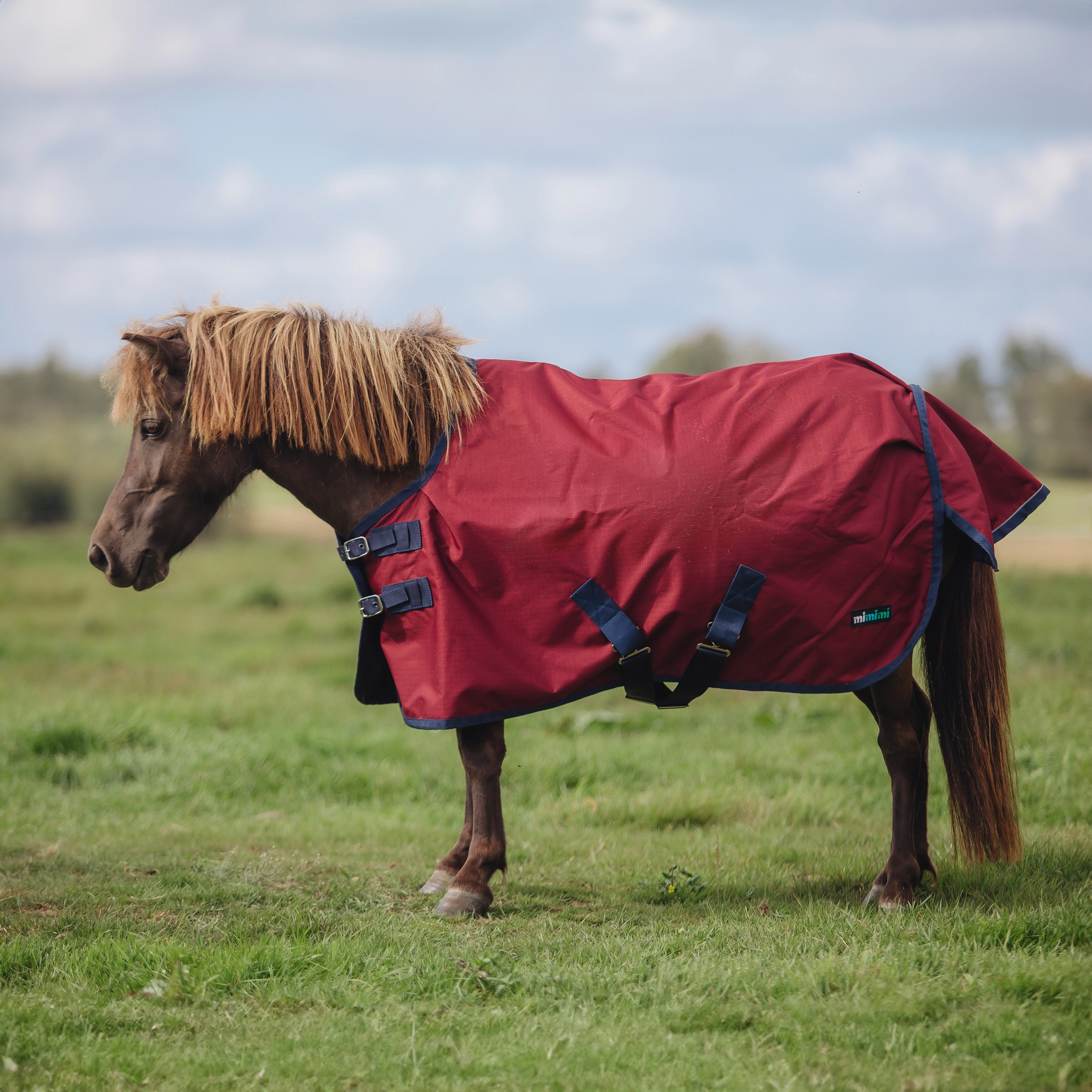 Попона дождевая на нейлоне mimimi Pony, бордовый