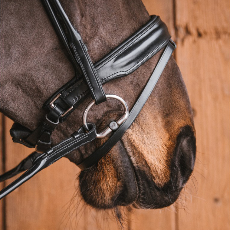 Трензель с фиксированными кольцами Alice Fixed rings