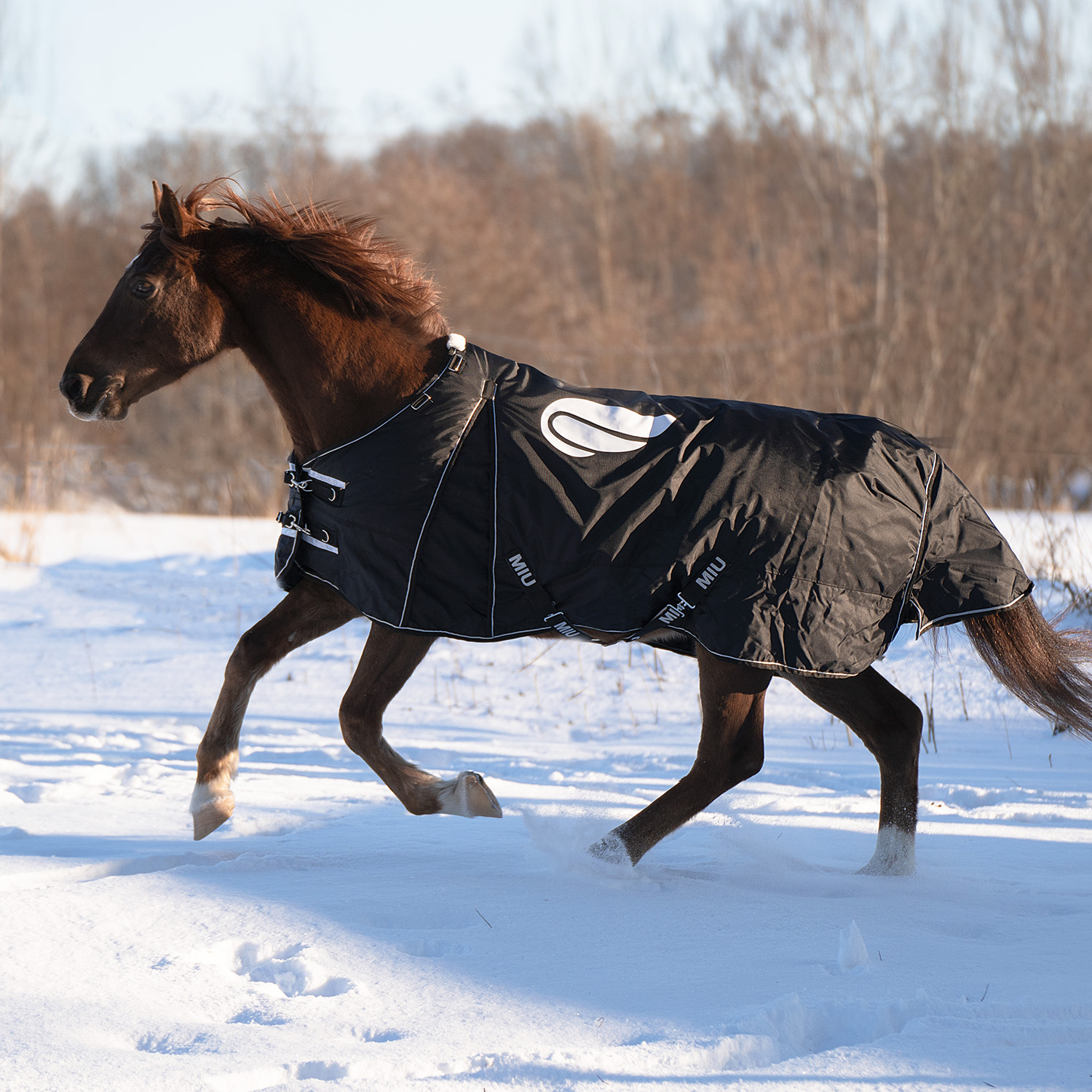 Попона прогулочная PEGASUS, 300 гр чёрный первая конная мануфактура