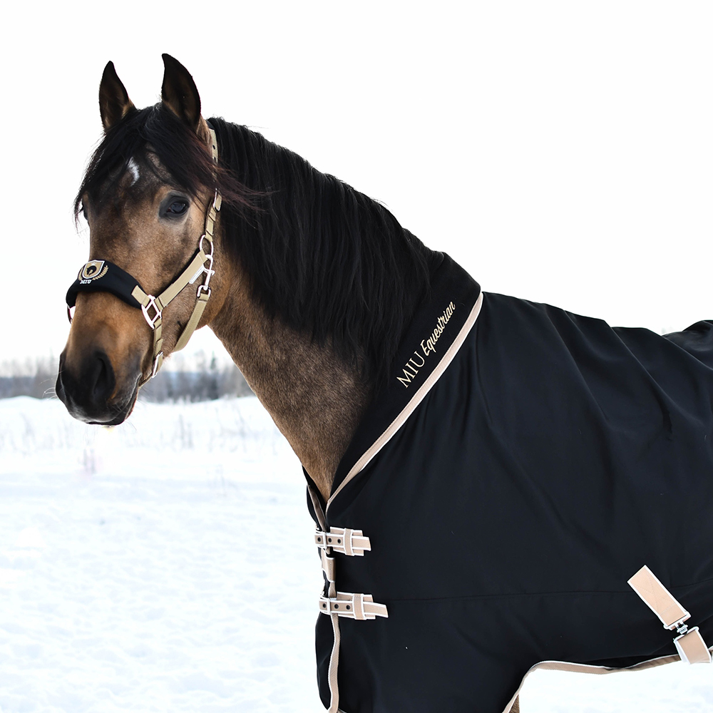 Попона денниковая GOLD MEDAL на вафельной подкладке чёрный