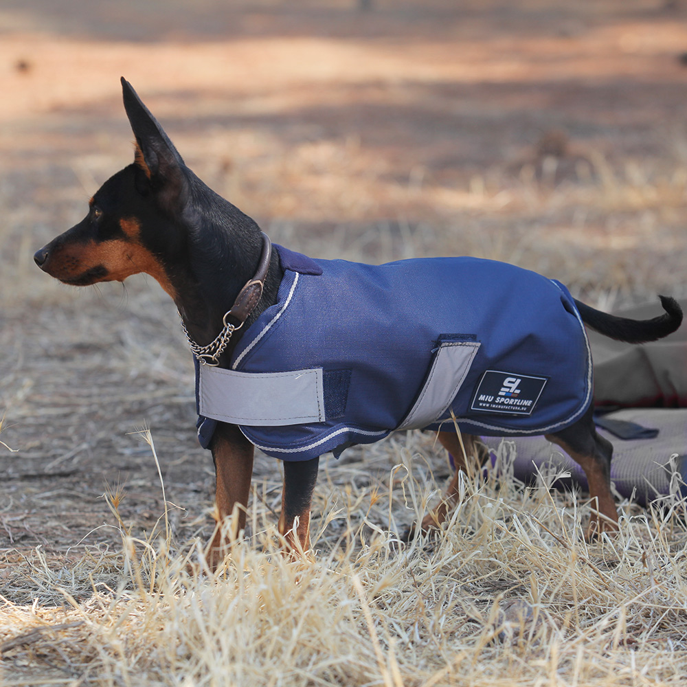 Попона для собаки на флисе синий