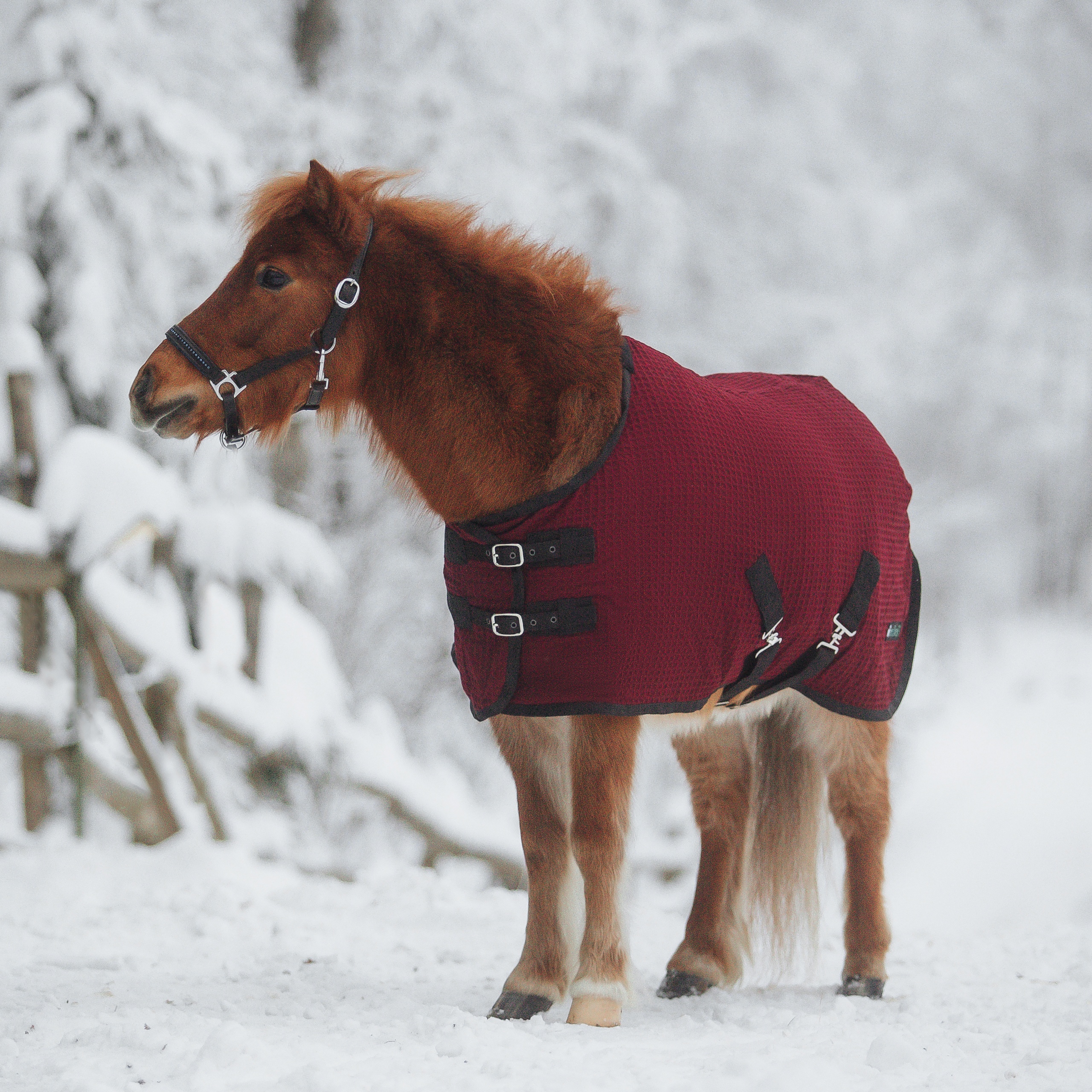 Попона вафельная minihorse WAFFLE бордо