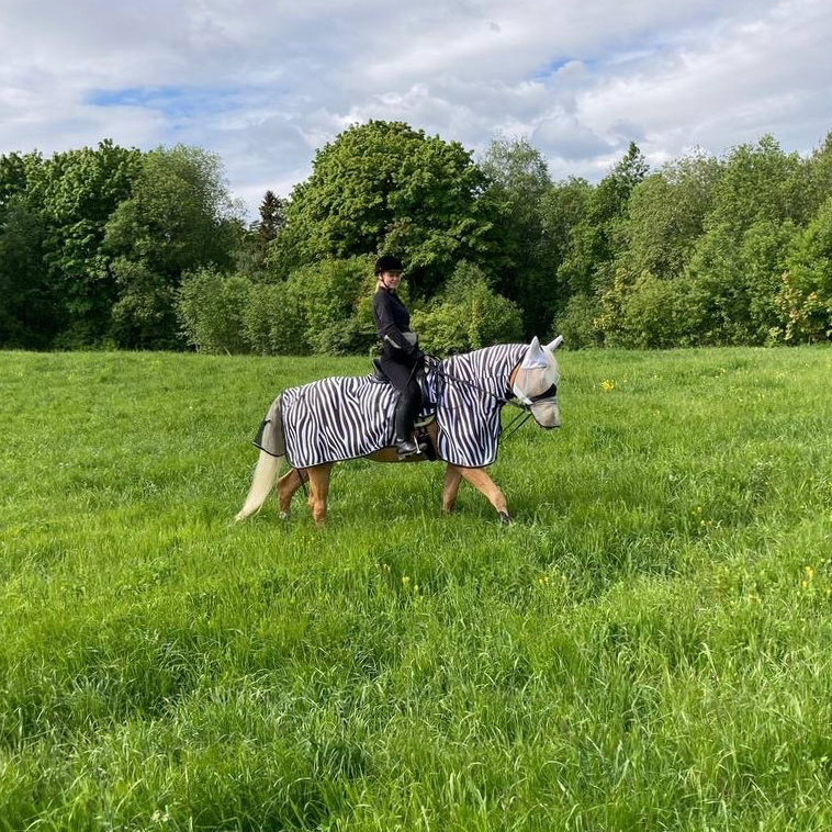 Полупопона антимоскитная EQUUS ZEBRA с капором