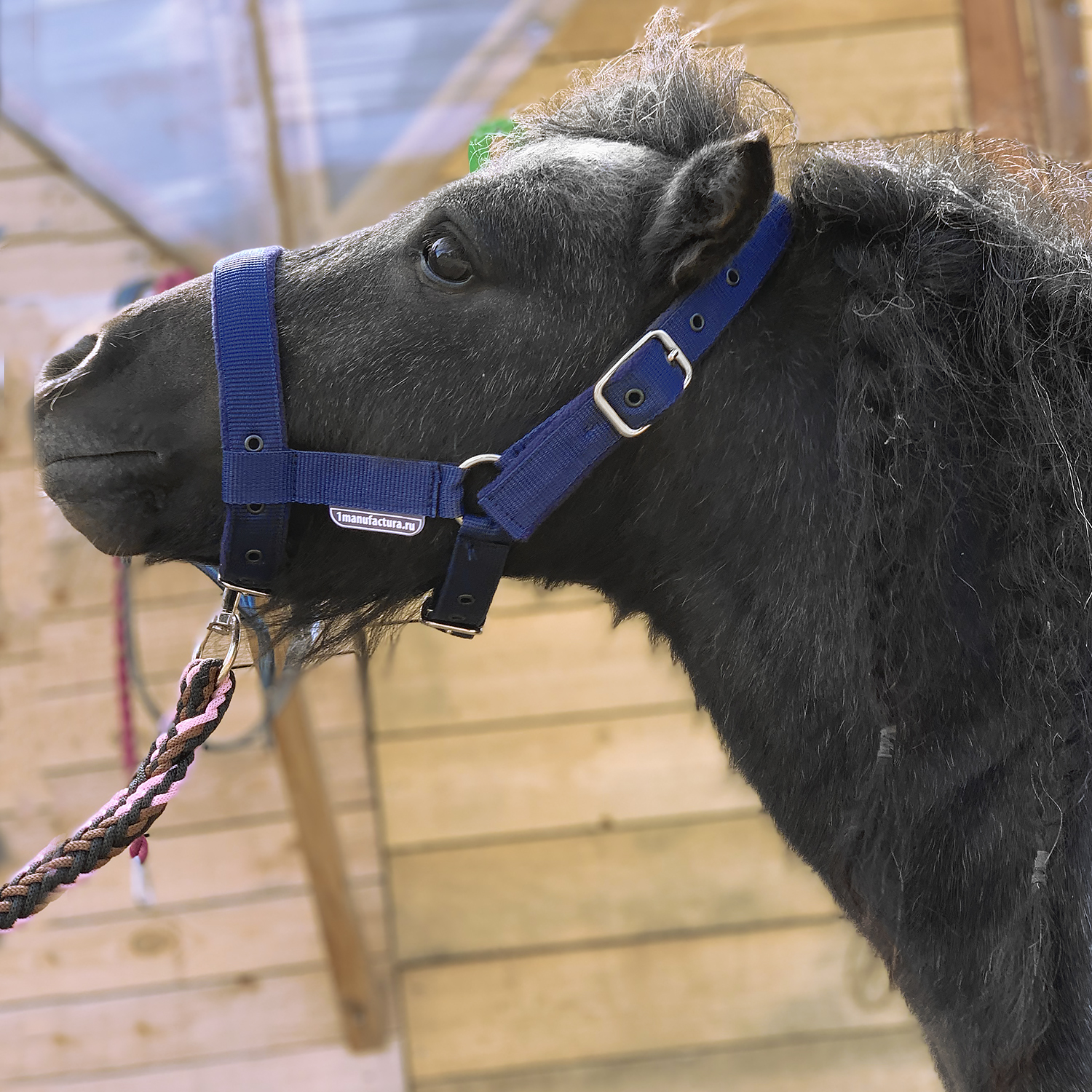 Недоуздок на пони и mini на флисе синий