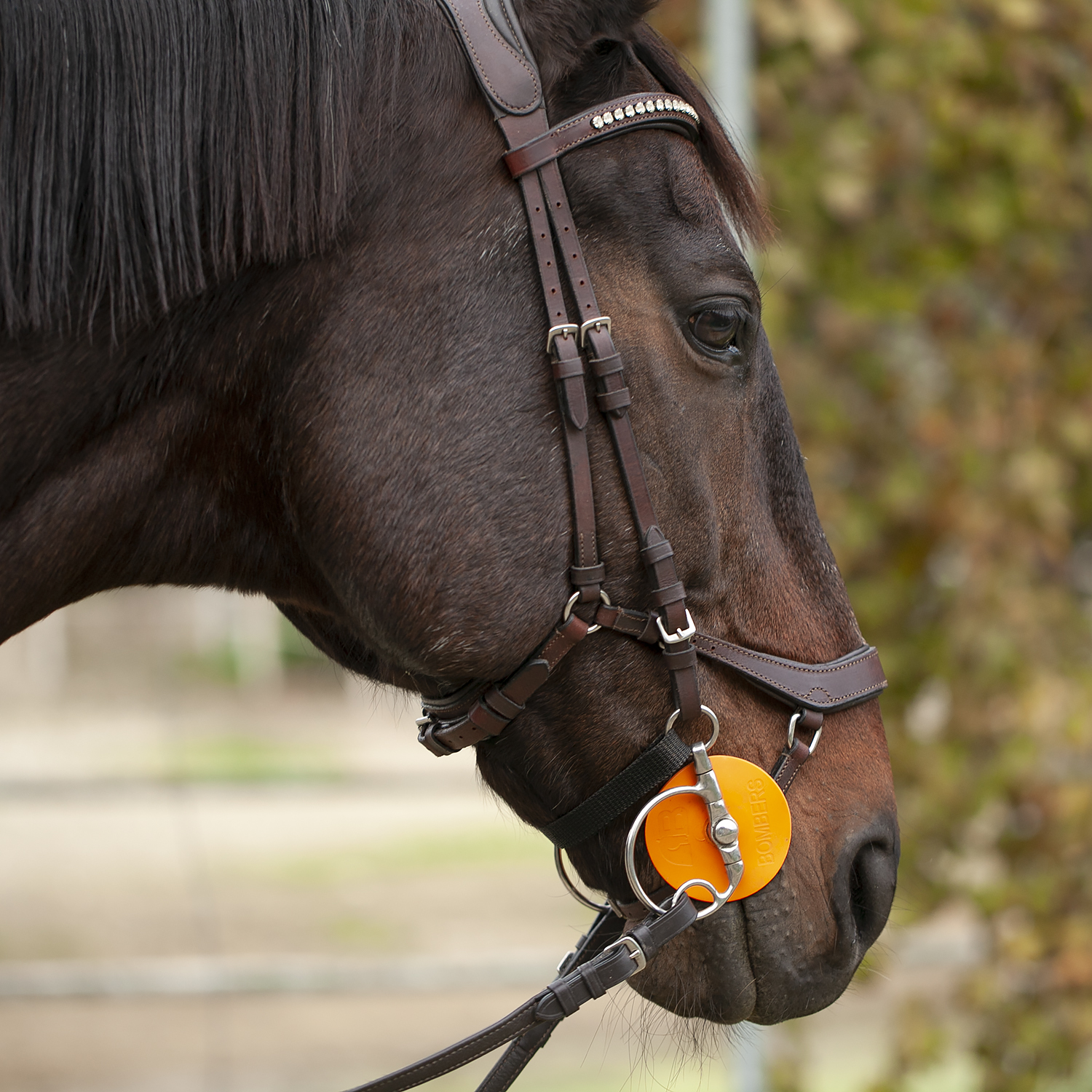 Оголовье трензельное анатомическое Chester II коричневый