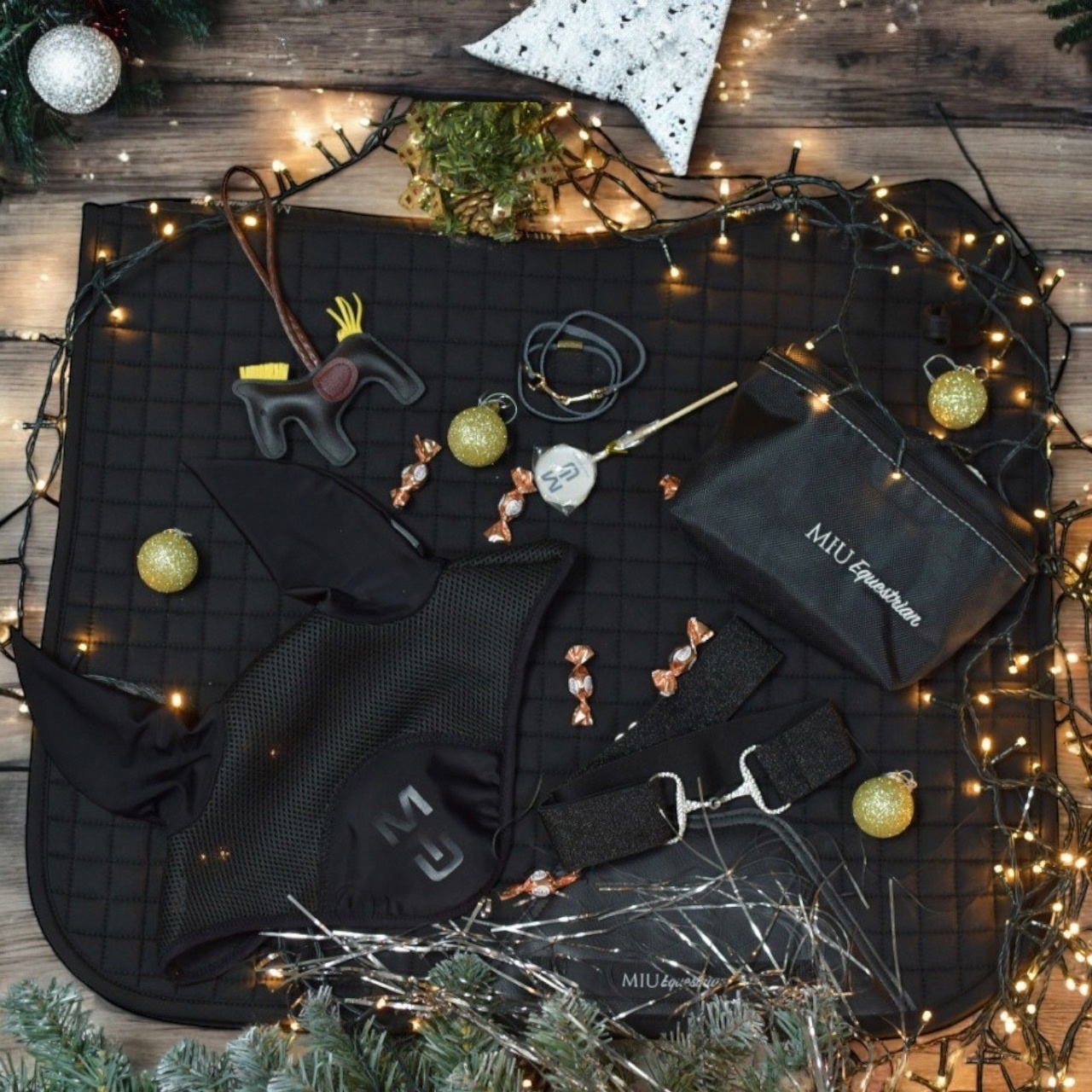 HorseBox magnificent PRO Dressage