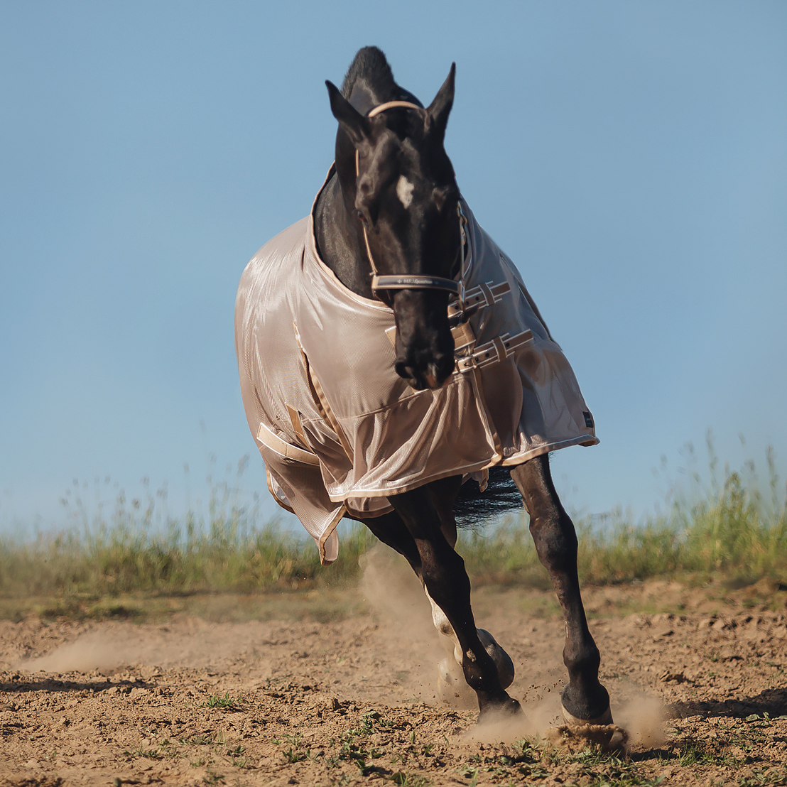 Попона антимоскитная MIU Equestrian Summer days бежевый